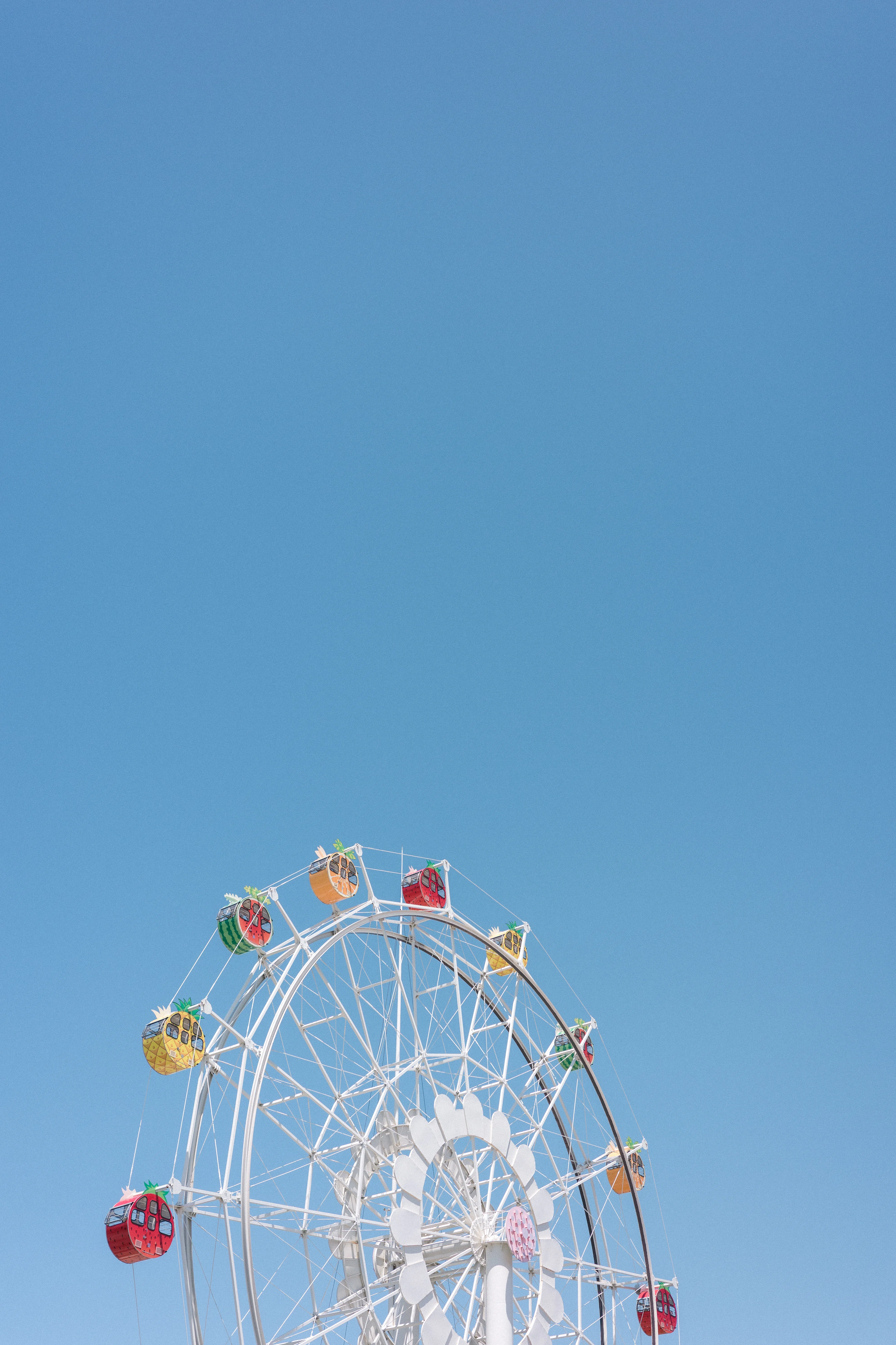 2026年5月の写真｜桜橋