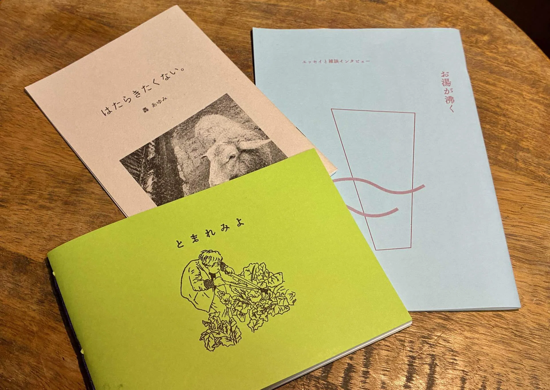 ZINEを買いに本屋へ｜K-no | そんな私