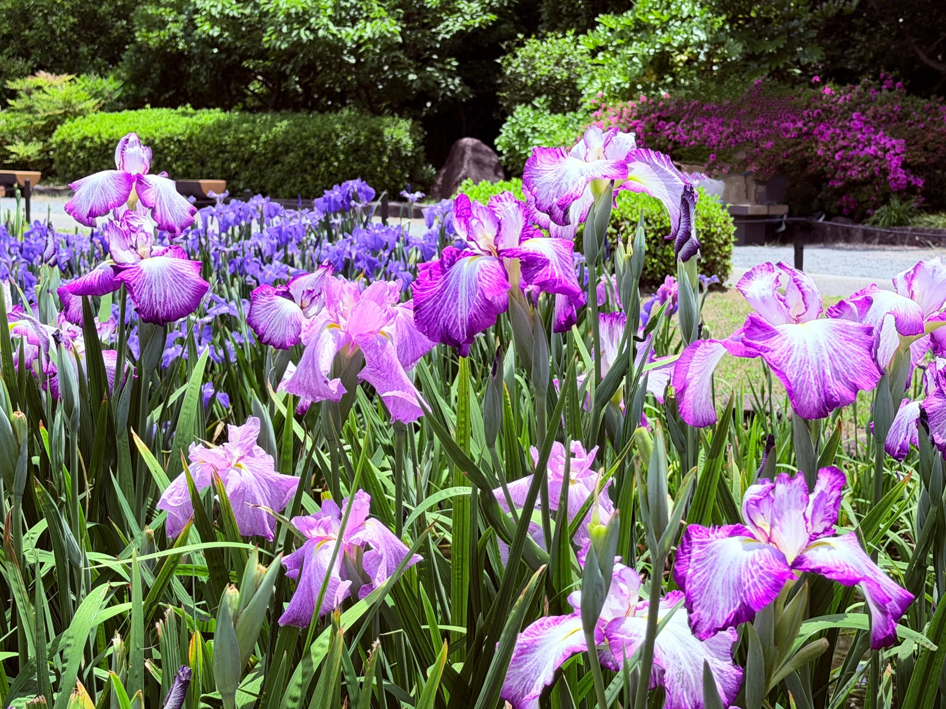 Shooting at Shirokita Park in Osaka City with an iPhone 17 Pro! It ...