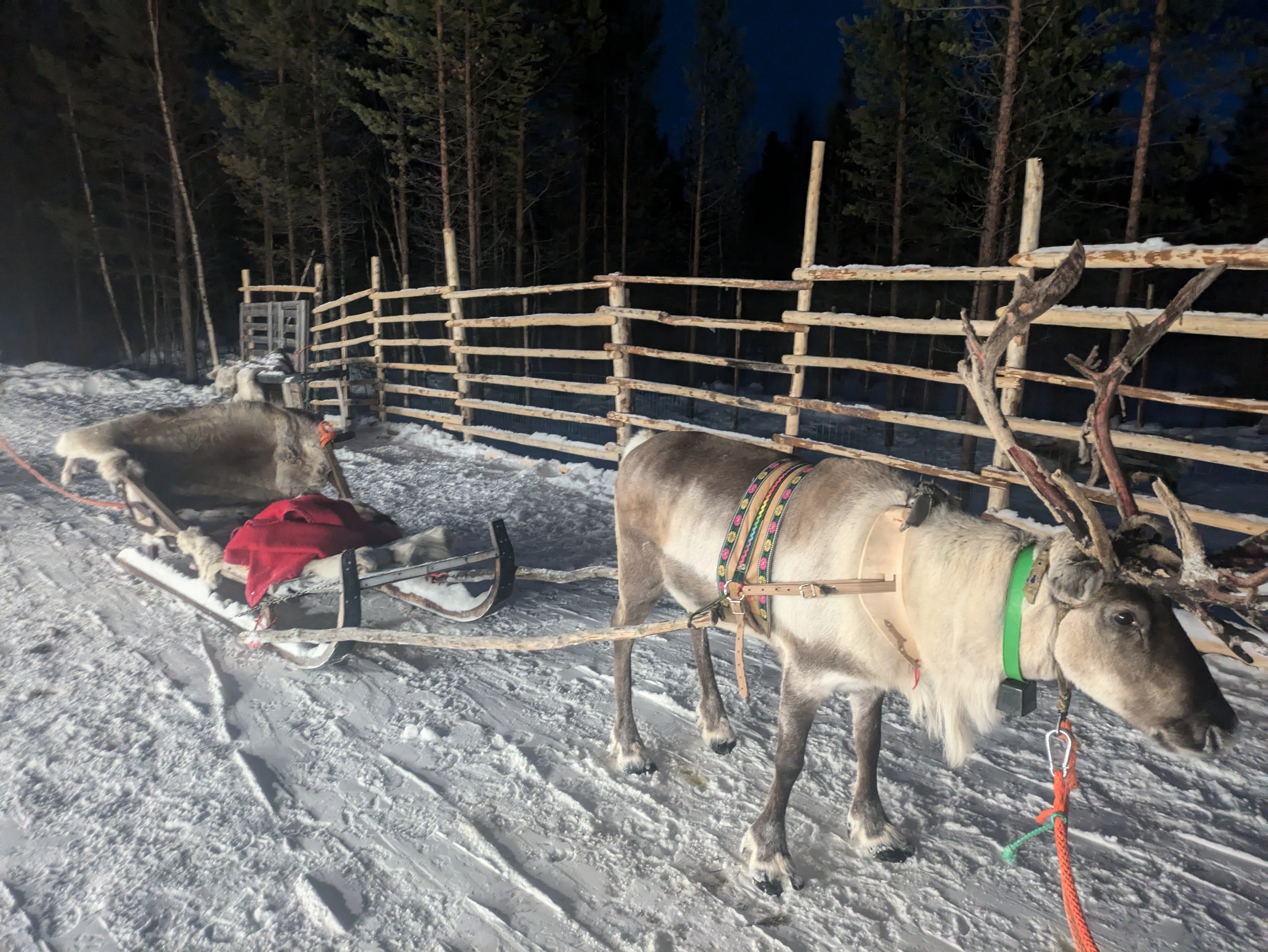 フィンランド クリスマスプレゼントにオーロラを見る｜流夏都 海外旅行