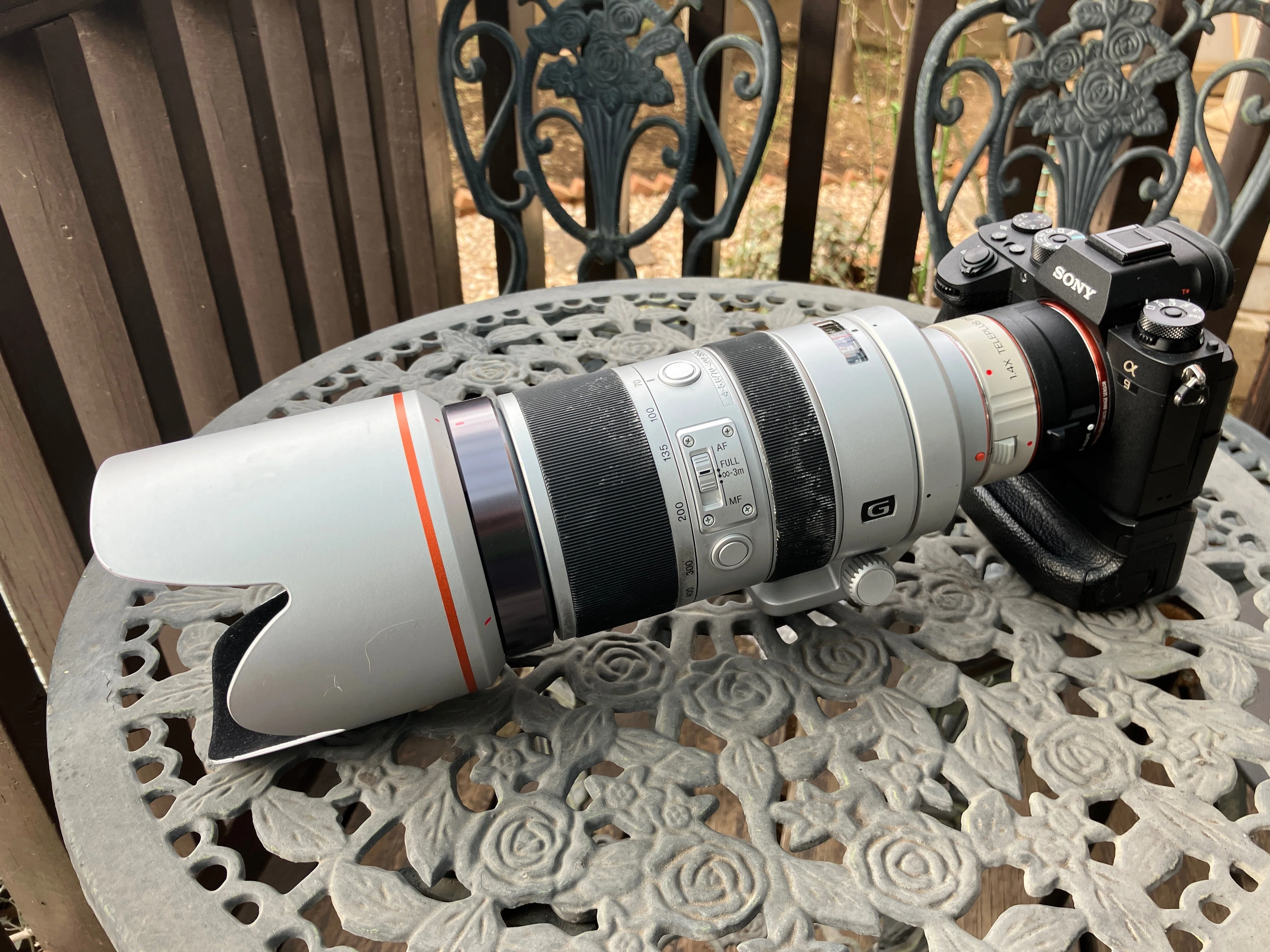FE 100-400mm F4.5 GM OSSの最初の感想｜TOLIMAN Hondα