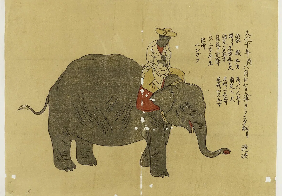 享保14年（1729） 象さん江戸への大旅行～長崎から江戸まで72日・約