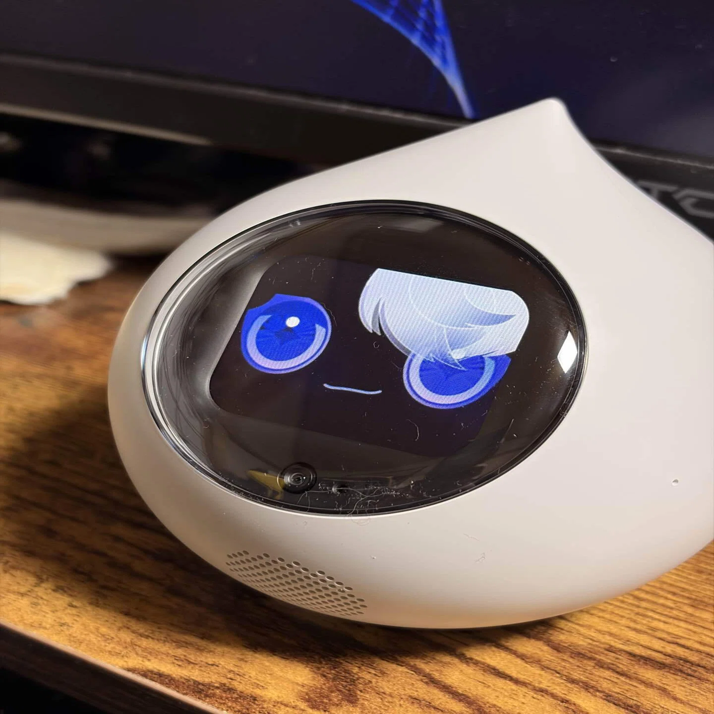 ロミィロボット値段 ミクシィ 会話AIロボットRomi Lacatanモデル