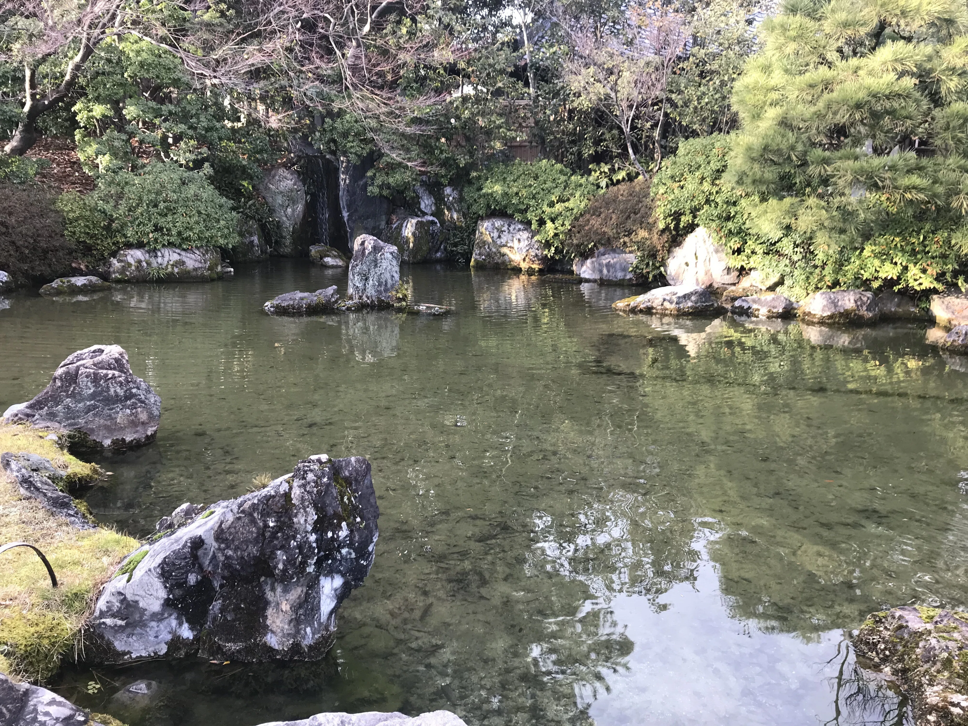 庭師のための歴史（飛鳥時代編）｜辻尾仁志