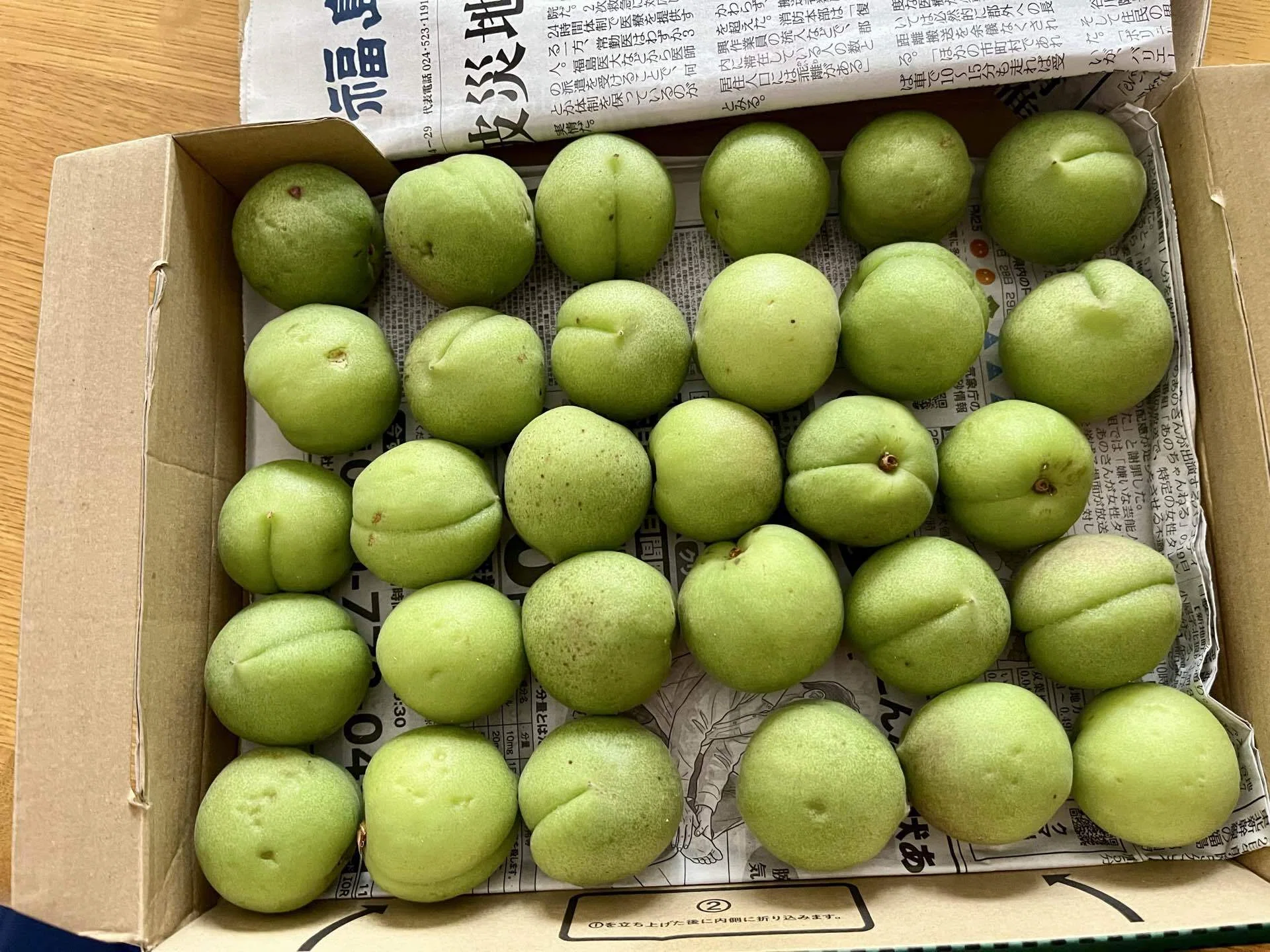 【大好評】大粒厳選青梅_任意の量で売ります！ 2年ぶりに福島の“青いダイヤ