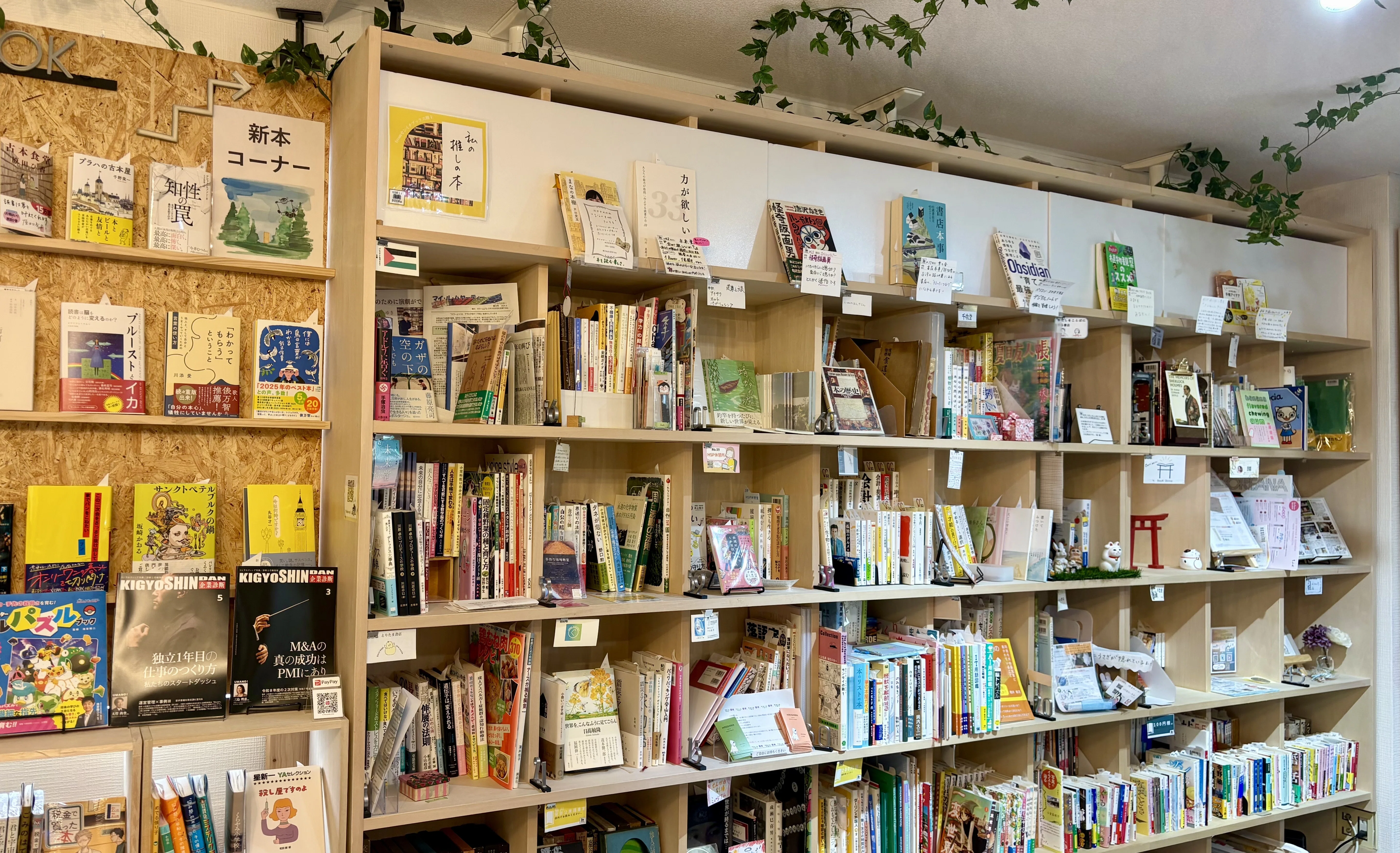 本棚にZINEが並ぶ、というしあわせ｜石川えりさ