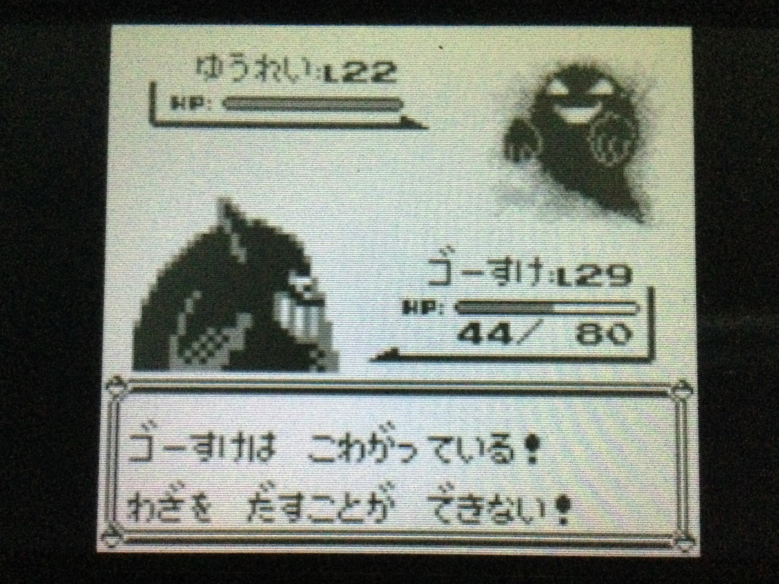 初めてポケモン“初代”をクリアした話｜masa