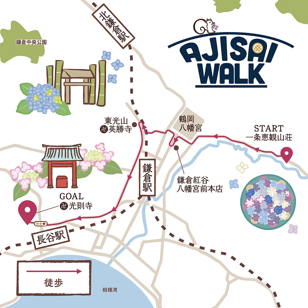 AJISAI WALK💠あじさい50周年記念「紫陽花さんぽ」｜鎌倉紅谷