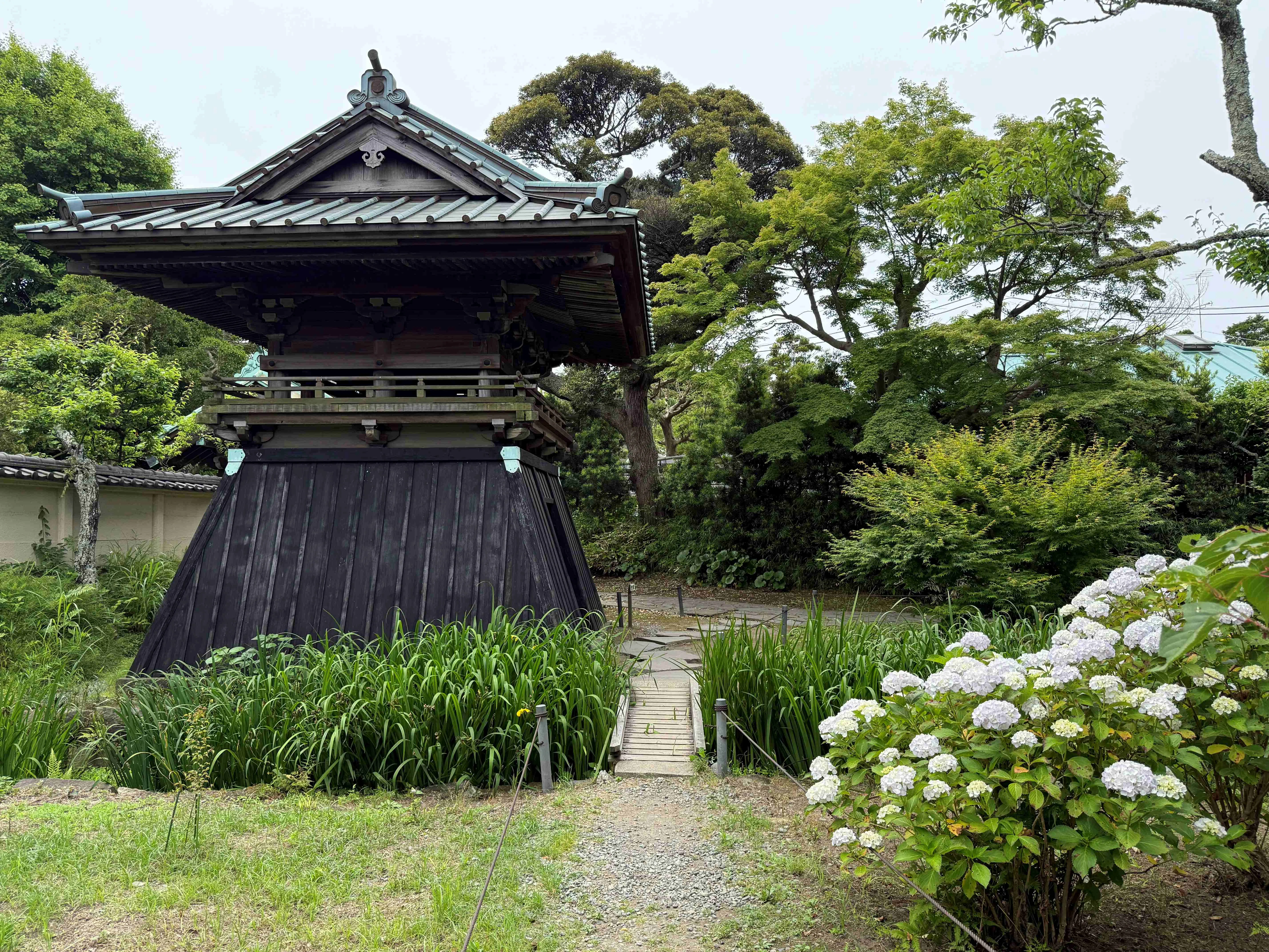 AJISAI WALK💠あじさい50周年記念「紫陽花さんぽ」｜鎌倉紅谷