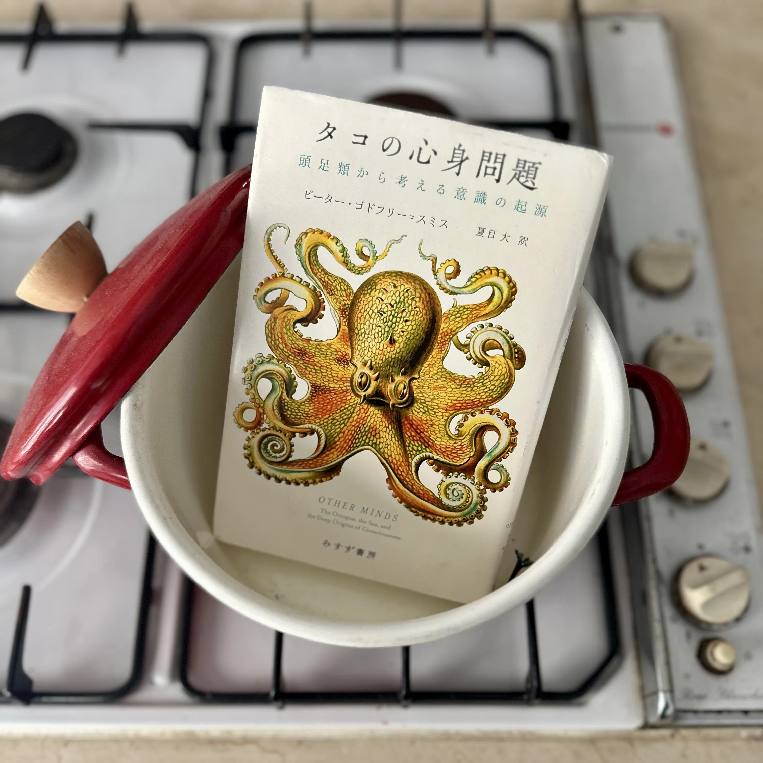 地球上で宇宙人に出会う：『タコの心身問題』｜八木田一世