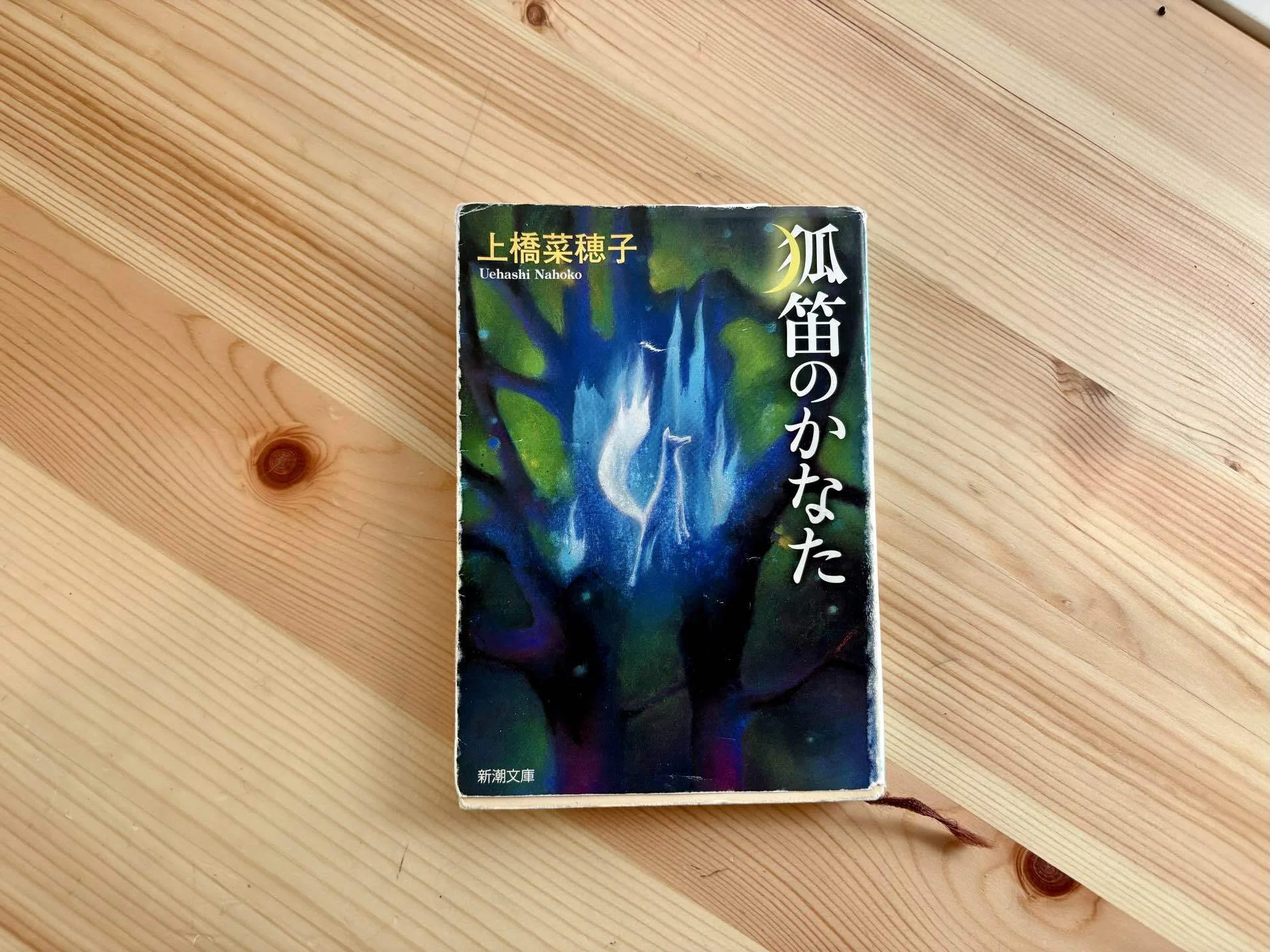 読み終えた後の余韻が凄すぎる。上橋菜穂子作品について。｜桜田千尋