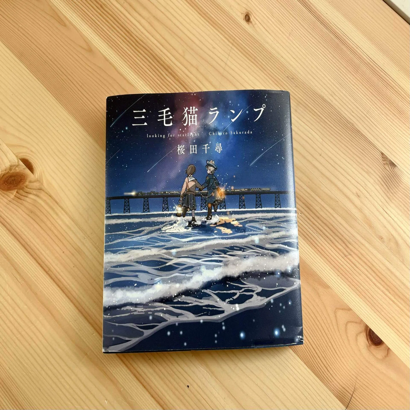 読み終えた後の余韻が凄すぎる。上橋菜穂子作品について。｜桜田千尋
