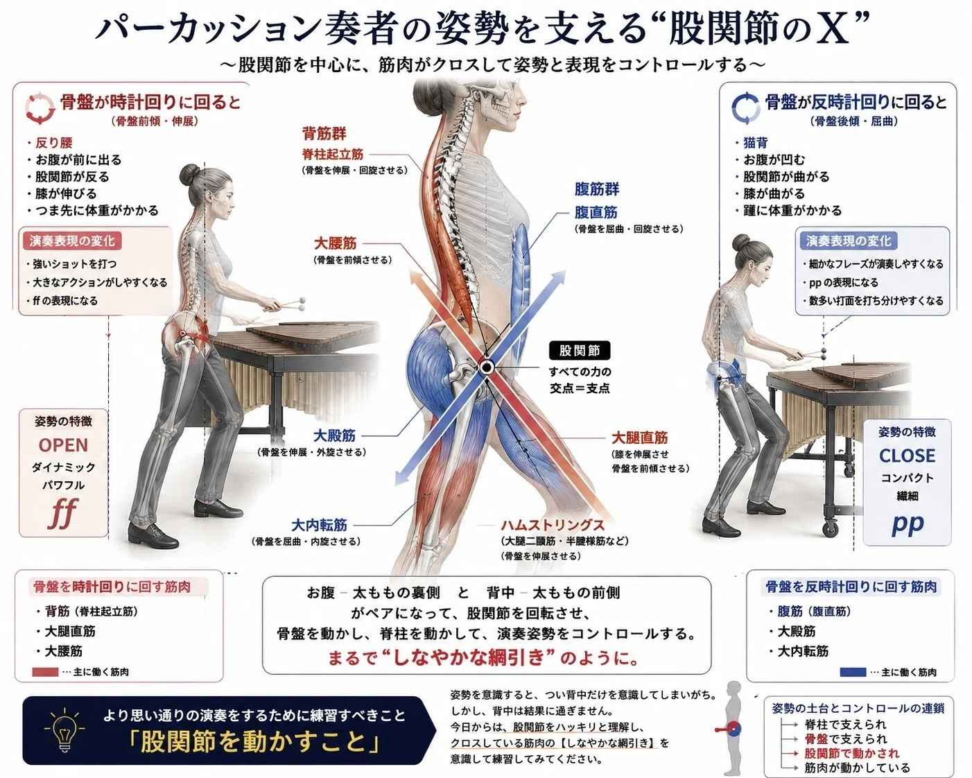 股関節の「X」｜Merge Labo 山本 篤