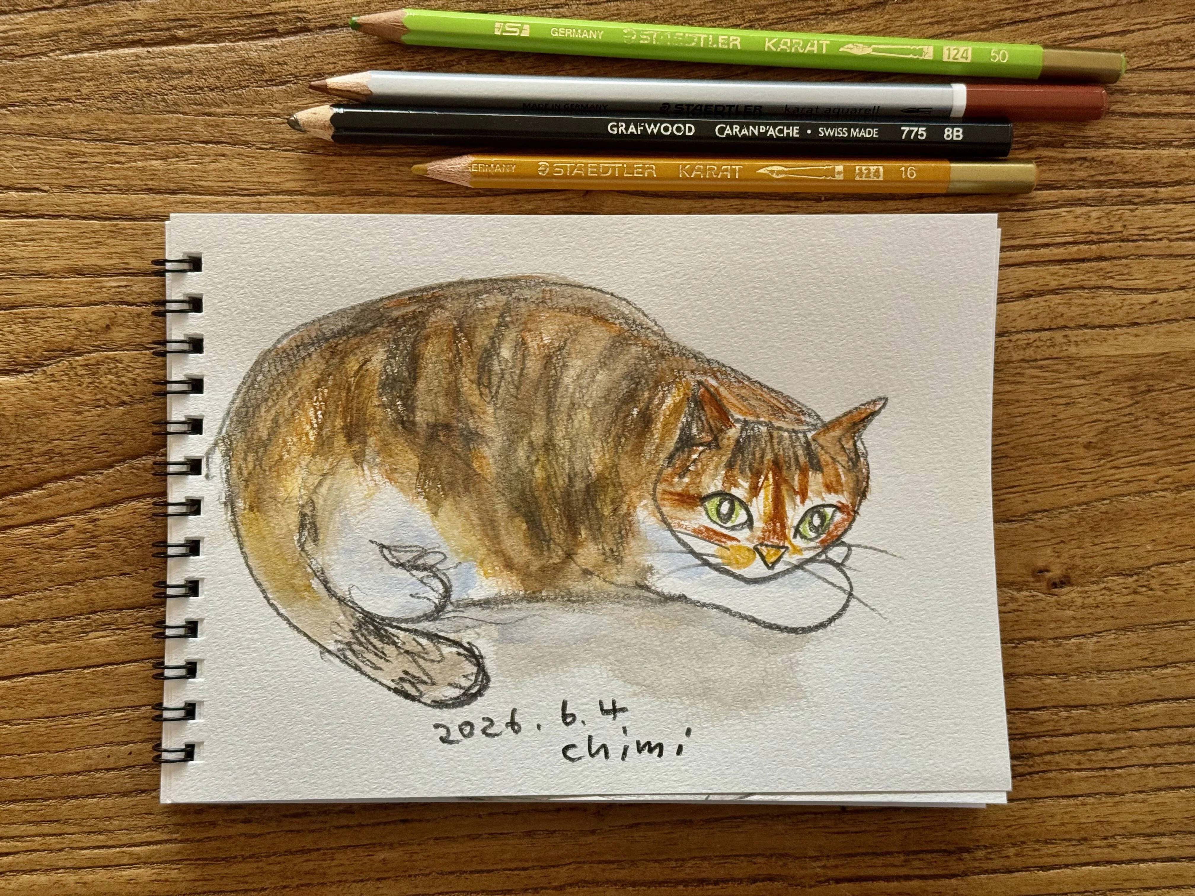 猫の絵 猫の絵｜山田 稔明