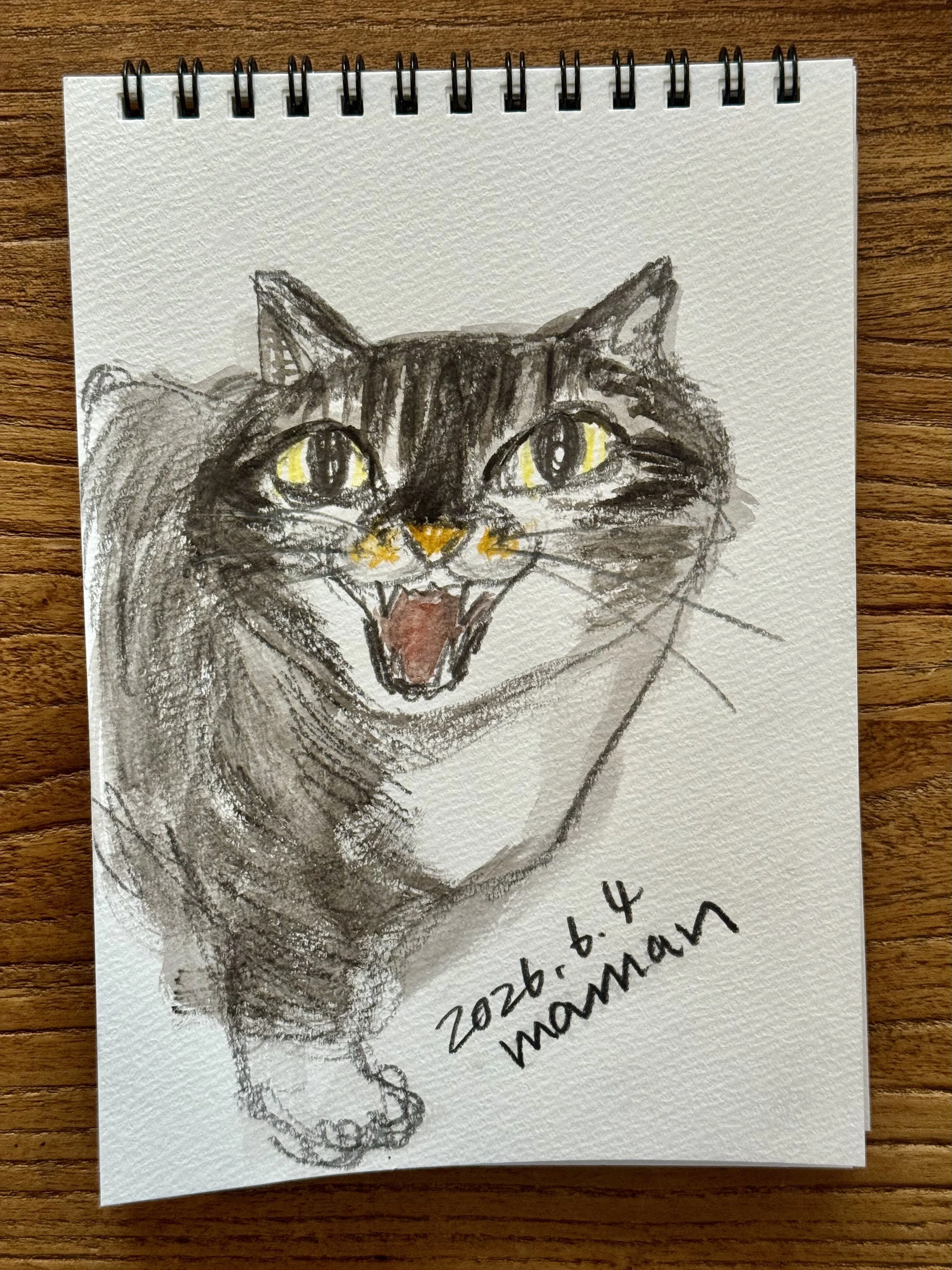 鈴木信也　猫の絵　肉筆 猫の絵｜山田 稔明