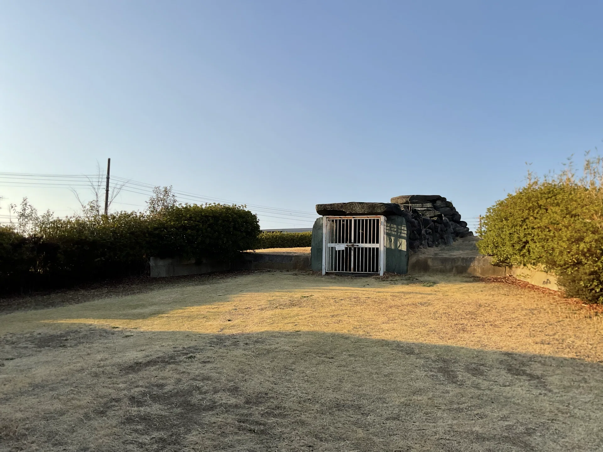 埼玉】野本将軍塚古墳・さきたま古墳群・吉見百穴・八幡山古墳・小見真