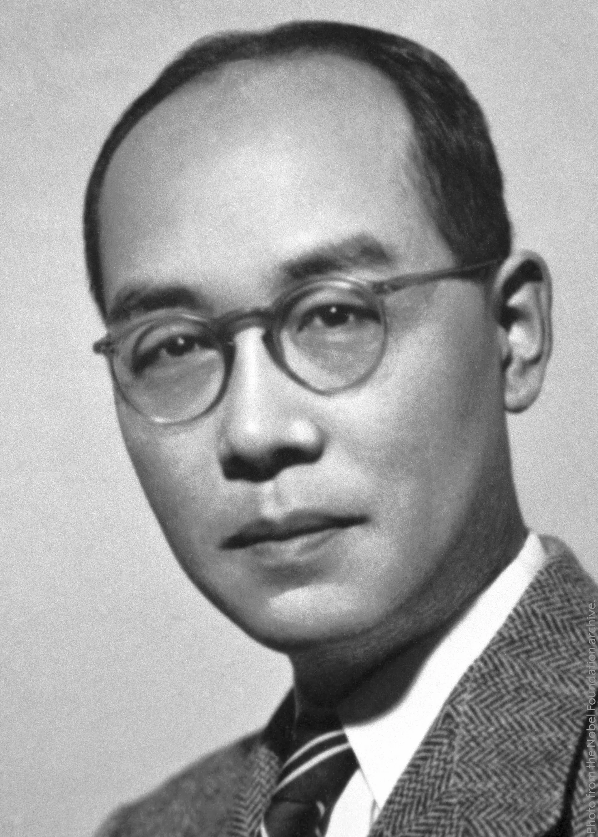 科学者の心を包む──湯川秀樹と妻・湯川スミ、言葉と絵の風呂敷｜昭和