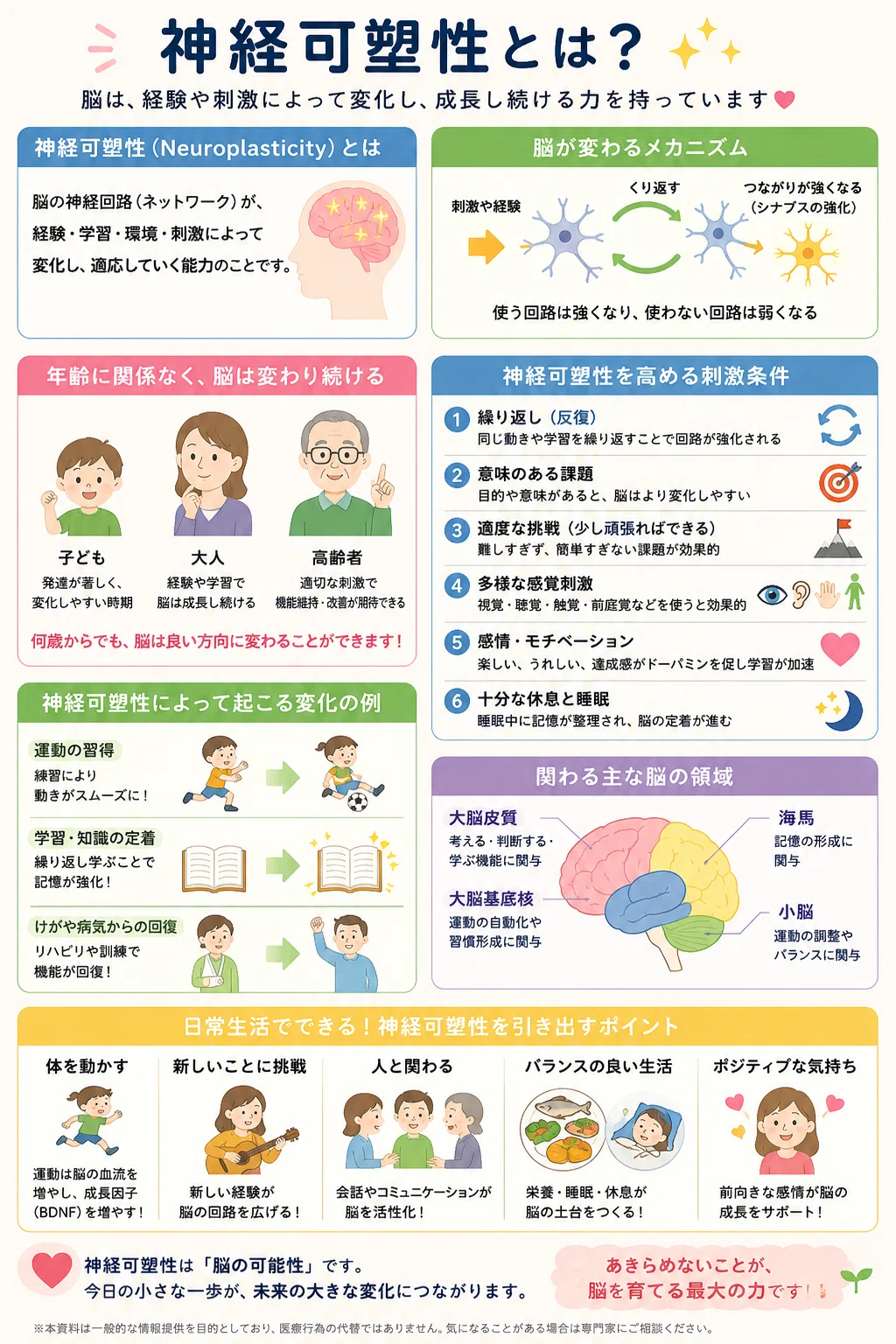 神経 の 可塑性