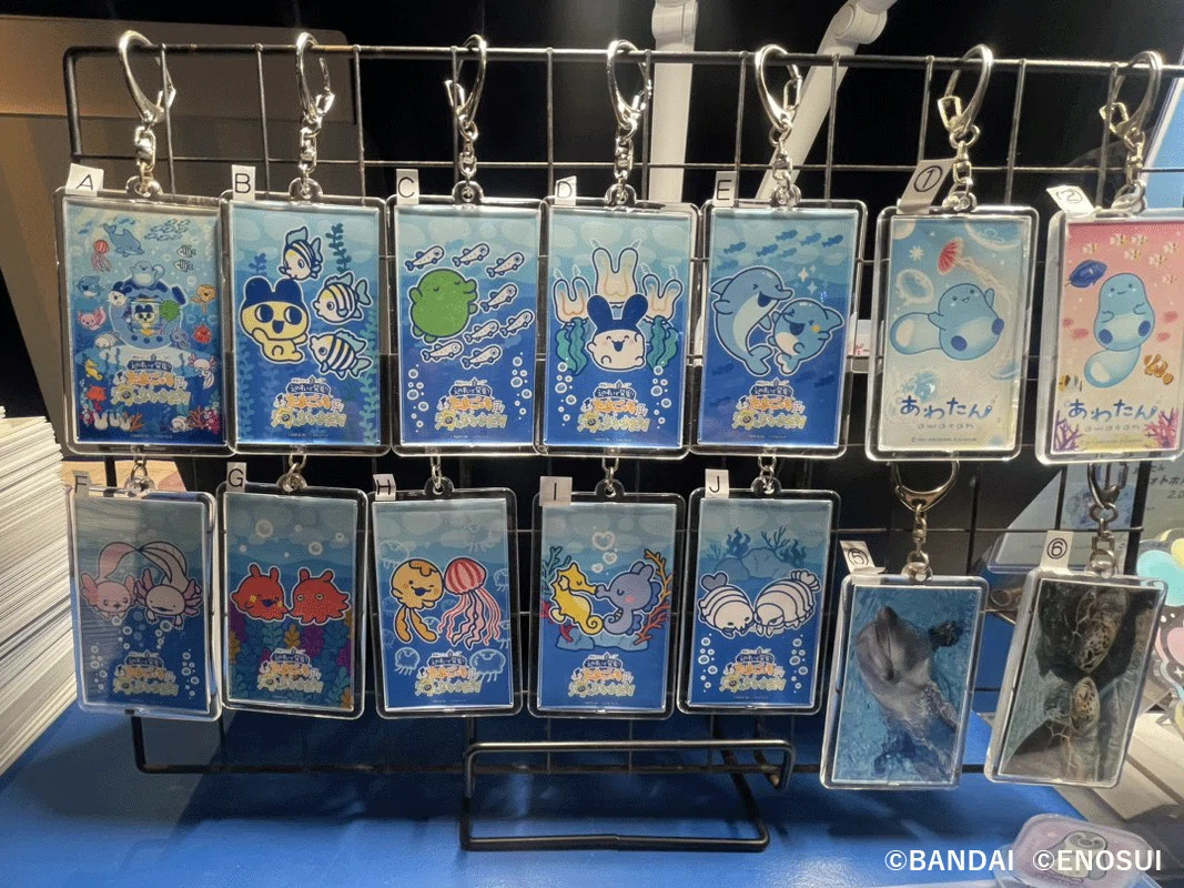 開催レポート】『えのすいで発見!!たまごっちと海のなかまたち