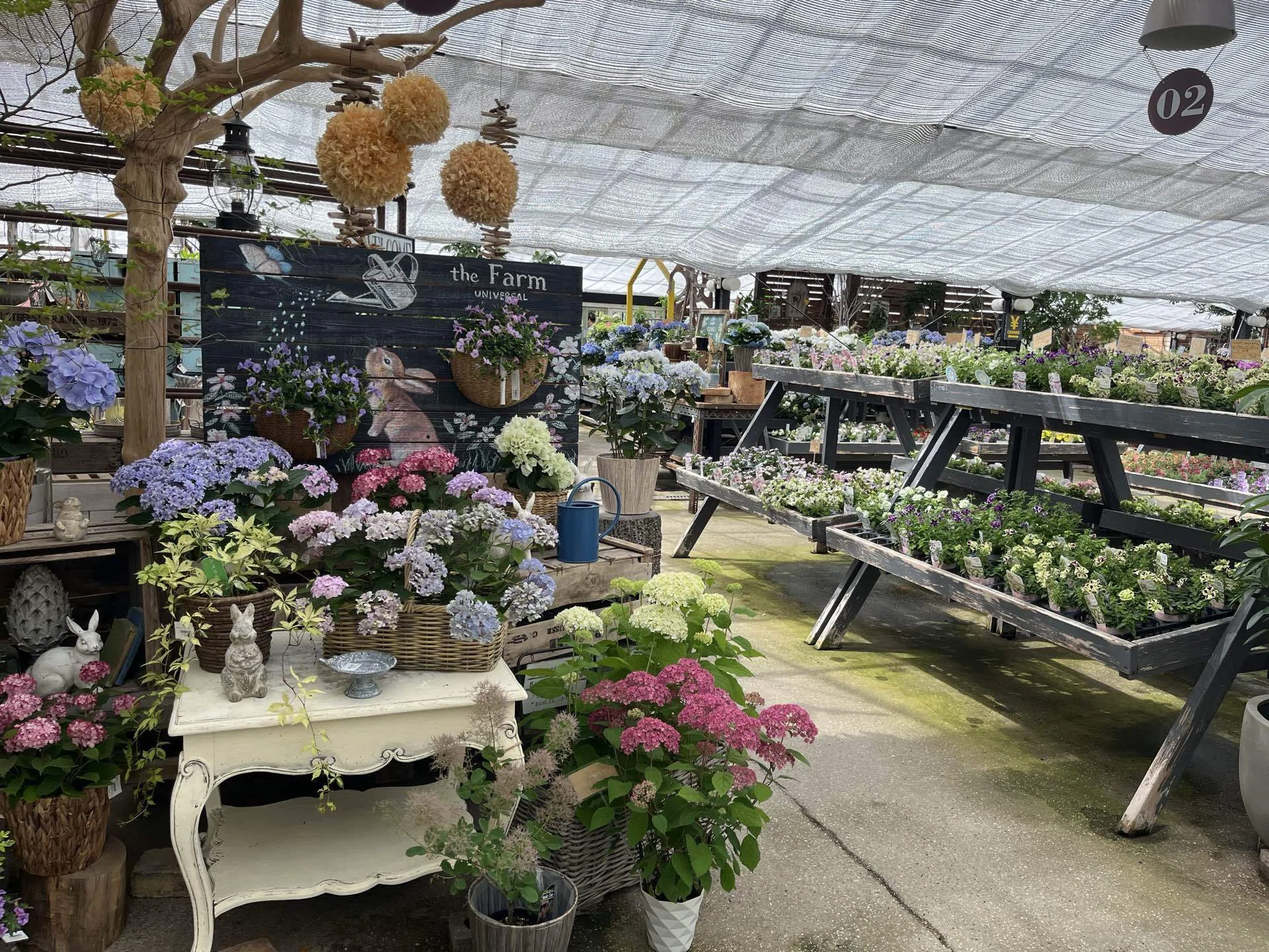 【ぴよ様】専用・青360g×2袋≪フォロー割特価≫ 半額の紫陽花｜よもぎ｜住まいと暮らしとオキナインコ。