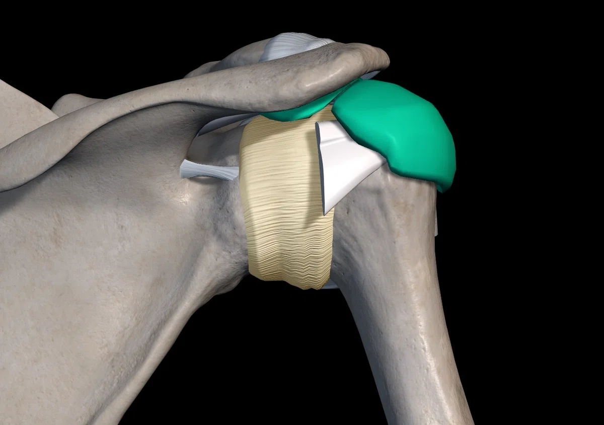 [Shoulder Joint] What are the causes of stiff internal and external ...