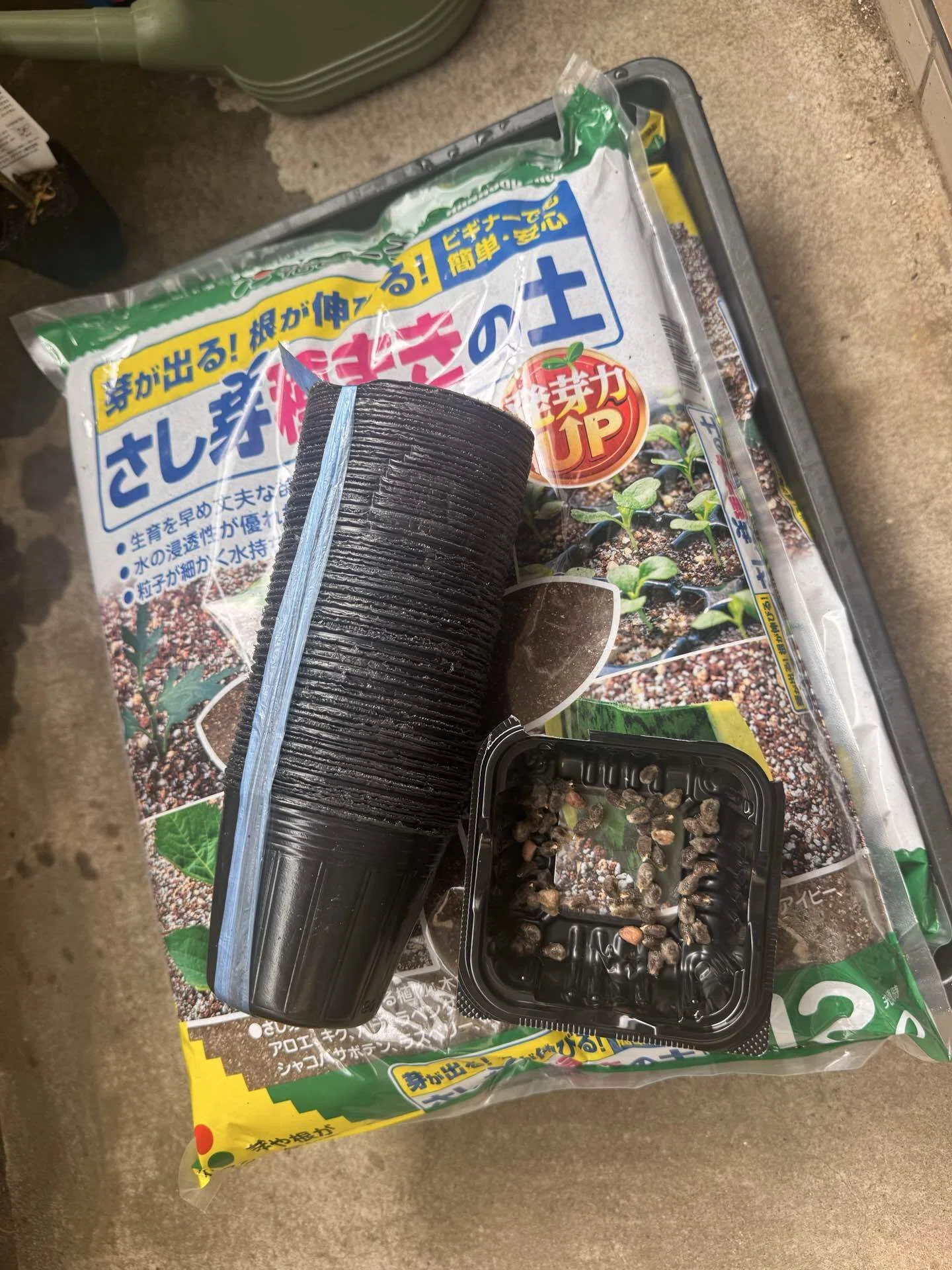 追加の種まき｜たつのじ書房