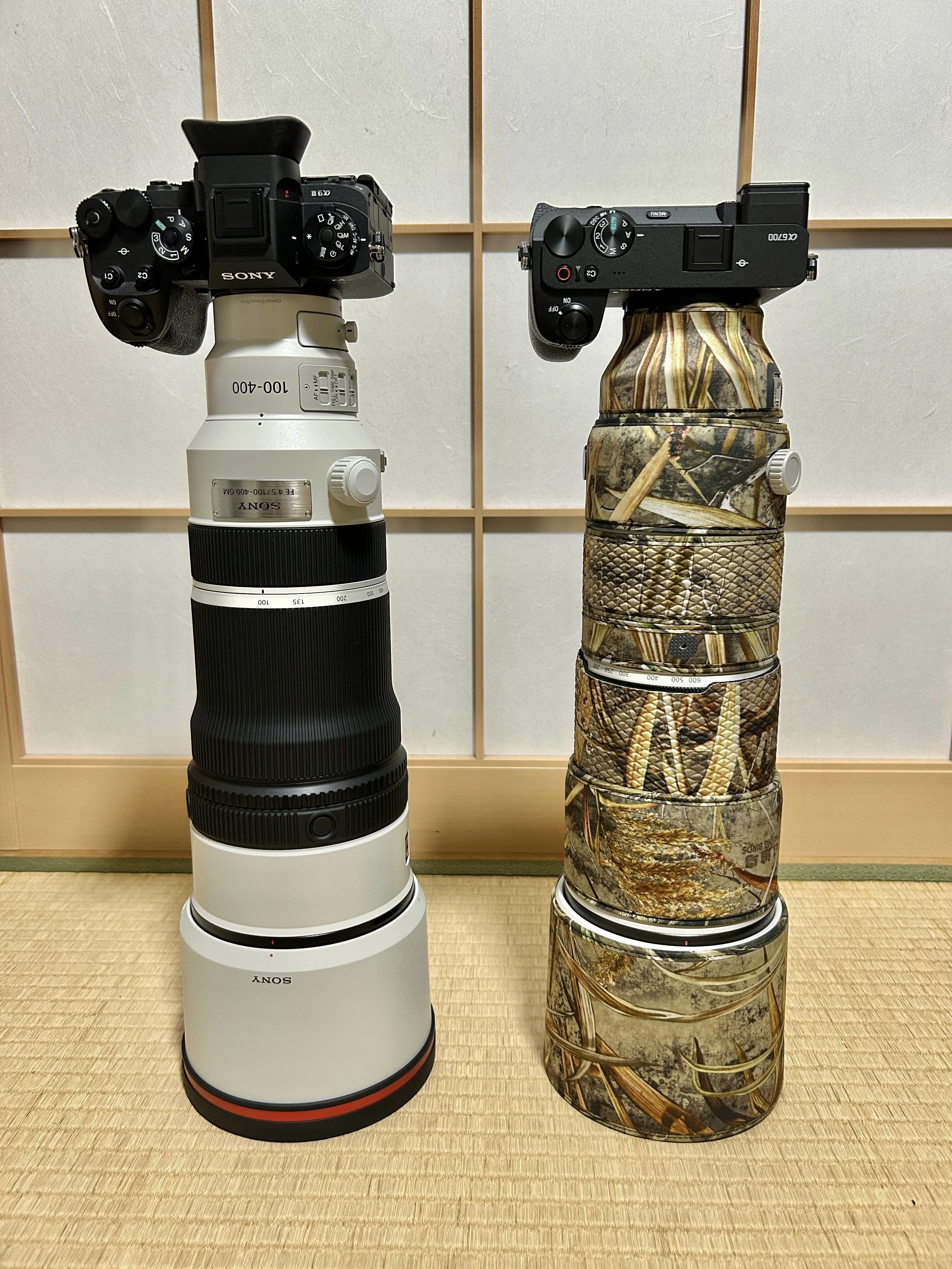 FE 100-400mm F4.5 GM OSSの最初の感想｜TOLIMAN Hondα