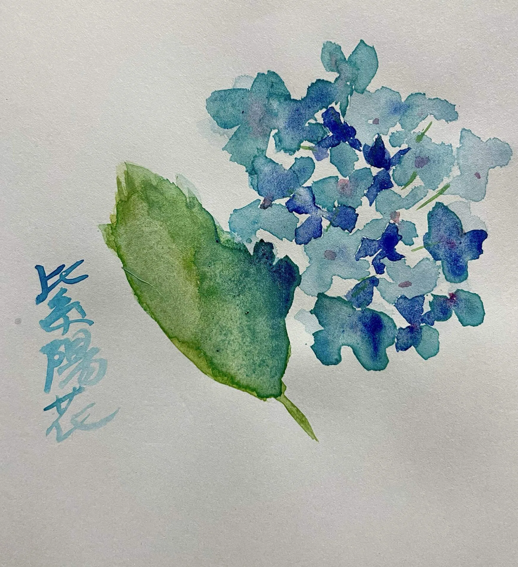 紫陽花他4点水彩画｜夏目明美