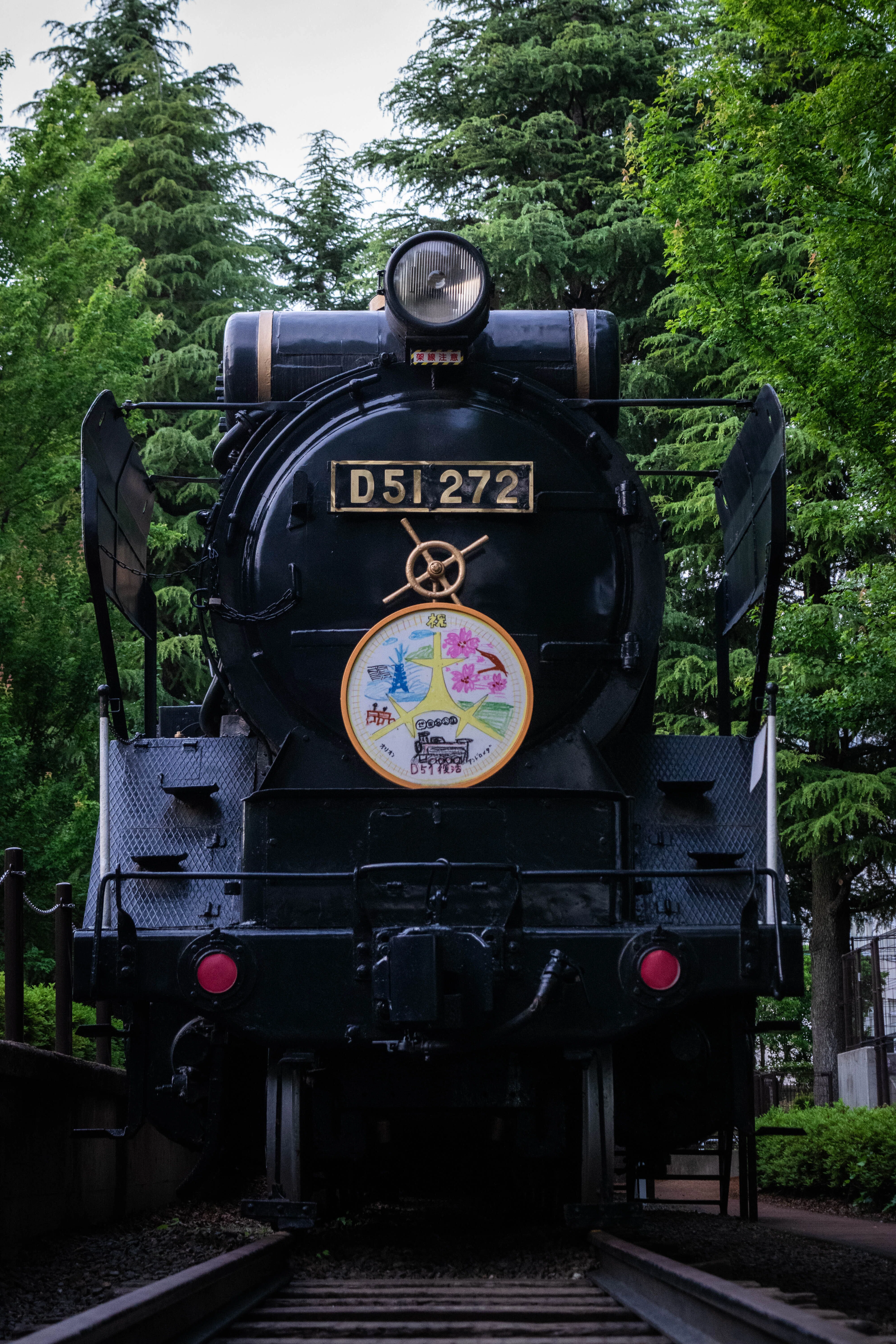 daikokuten51960　まとめ売り2点 D51保存機記録 Vol.2 関東の保存機達 ｜Yutaの撮り鉄日記