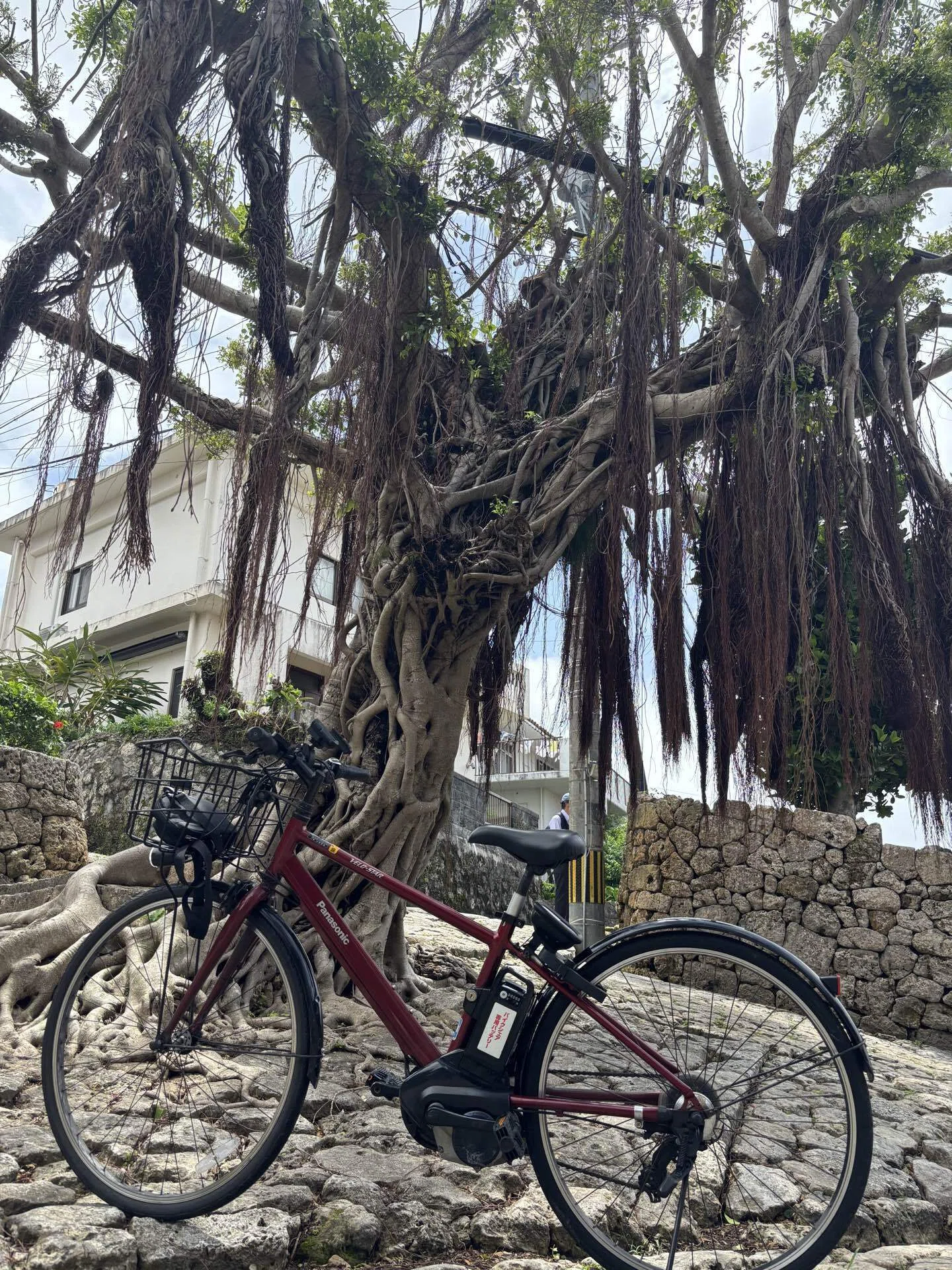 ちゅらチャリで巡る沖縄80km｜Lemon