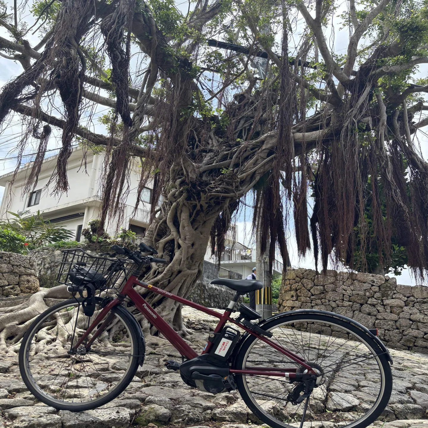 改造チャリ 沖縄仕様チャri with pedals シェアサイクル ちゅらチャリ 