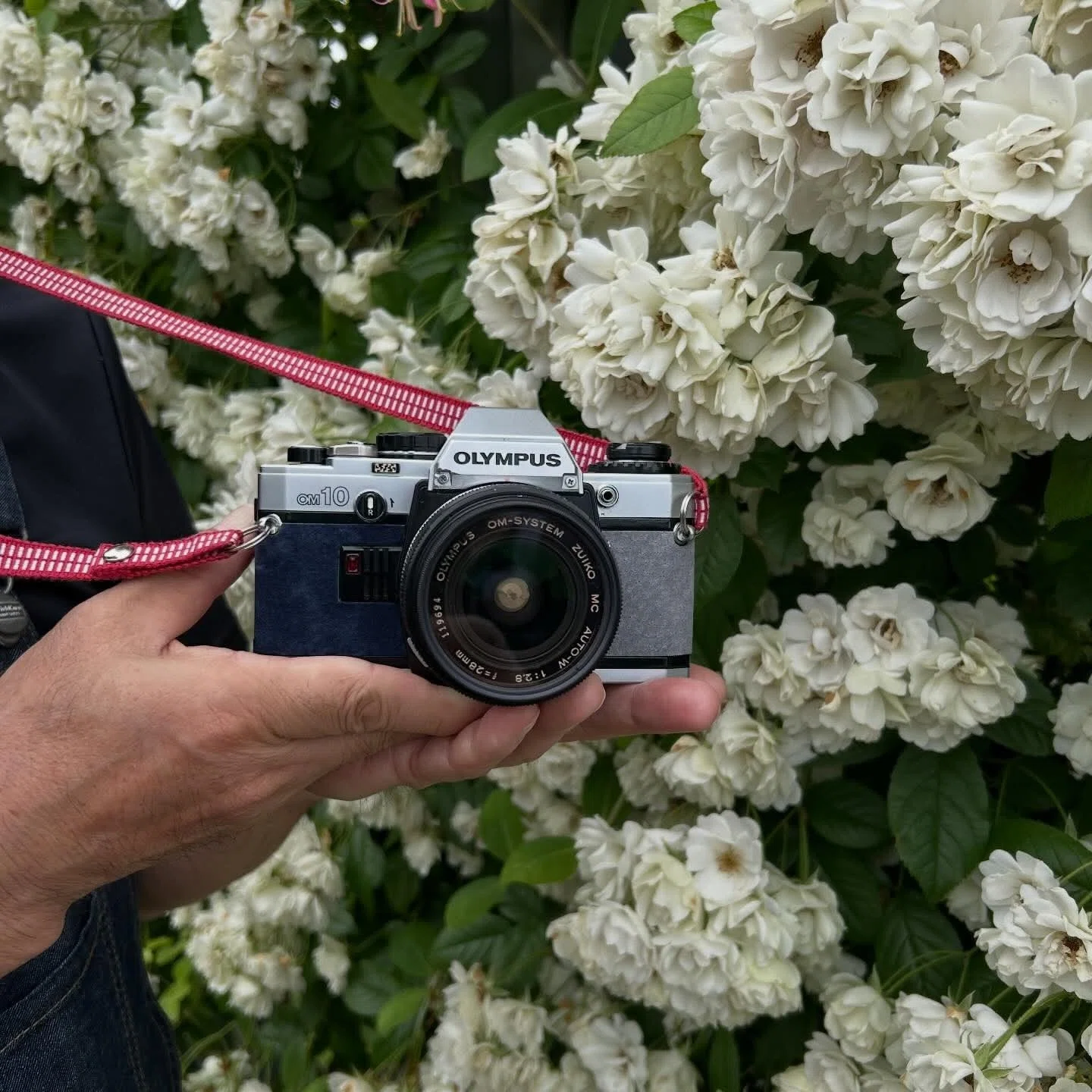 OLYMPUS OM-10の撮影見本｜ごん色カメラ
