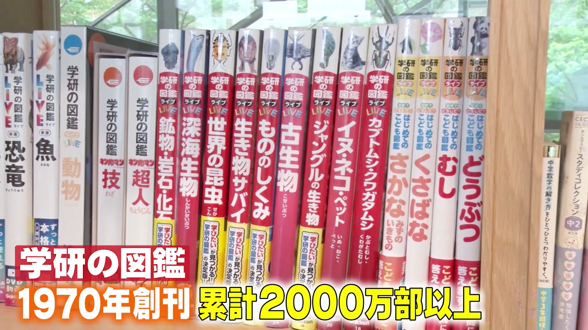図鑑なのにバトル！？ 10年で累計660万部、Gakken「最強王図鑑」の