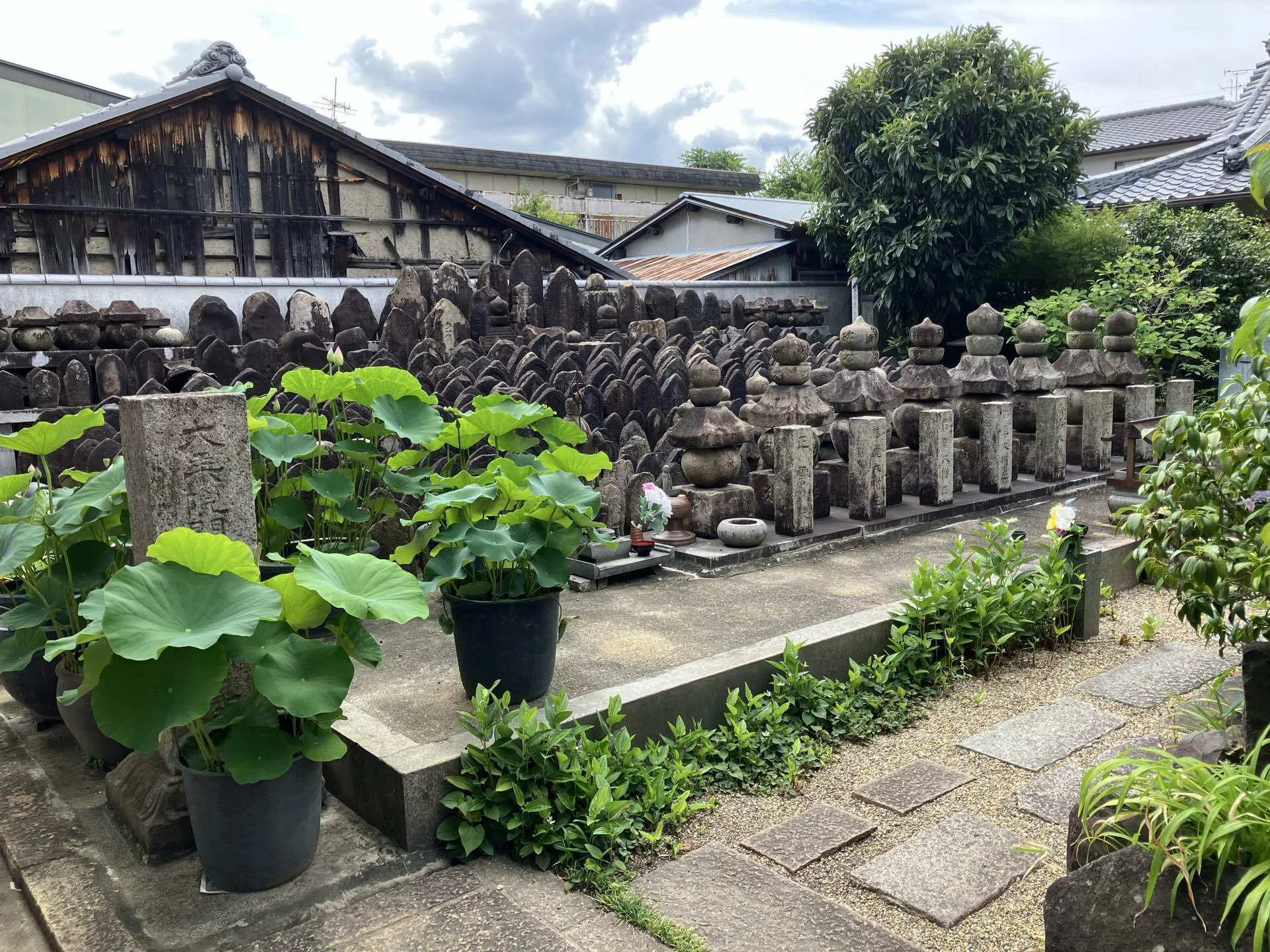 🔶私の好きな奈良：福智院 類例ない千仏光背を有する日本最大の木造