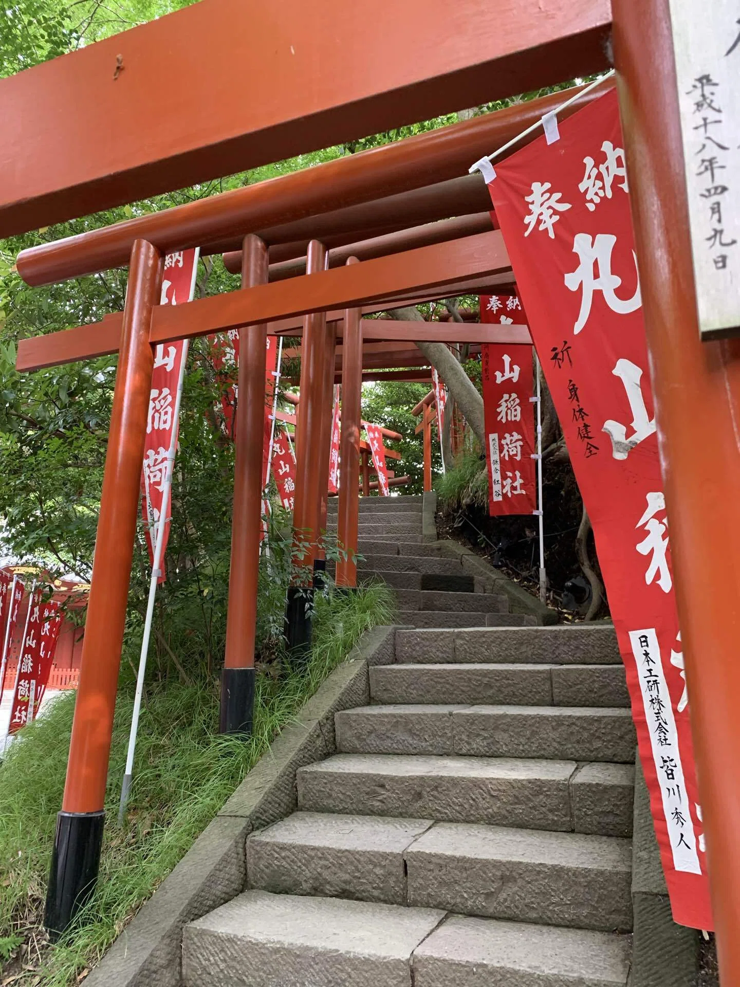 鎌倉、紫陽花のころ🚶‍➡️｜樂隠居見習い