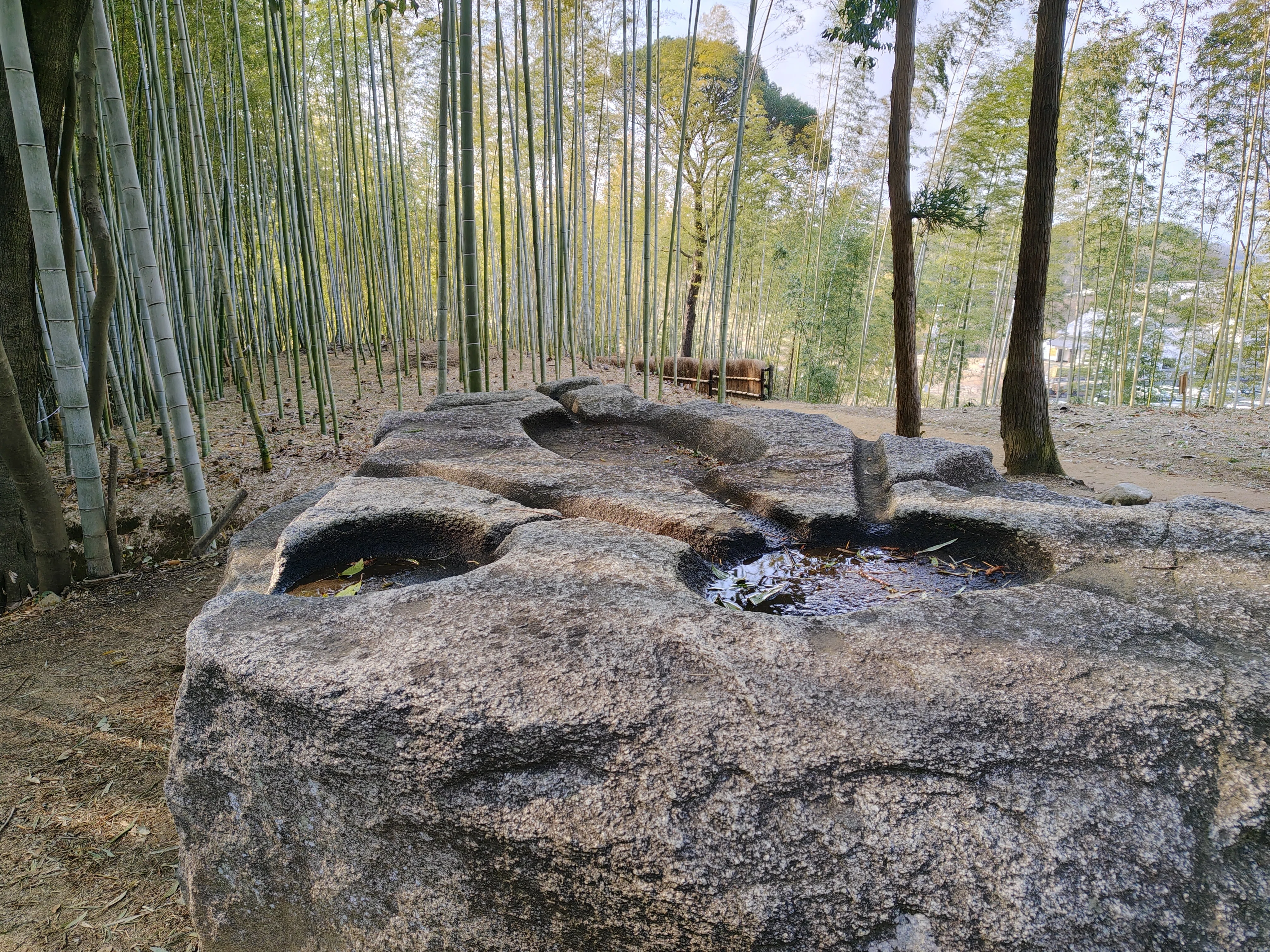 飛鳥・藤原の宮都、世界遺産登録おめでとうございます！｜しらうめねず