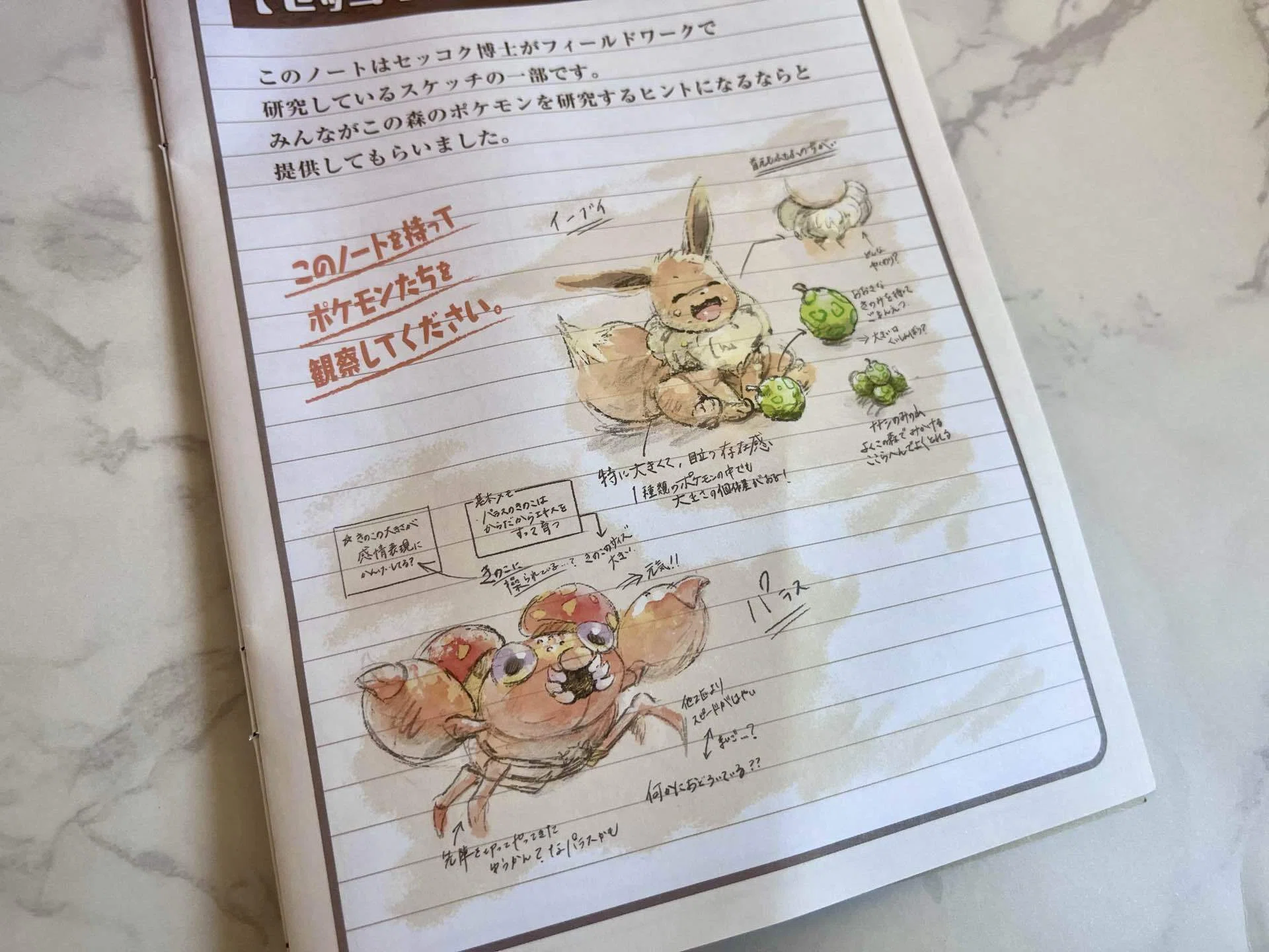 ポケパークを全力で楽しんできた｜旅&ポケモン✈️あゆむ
