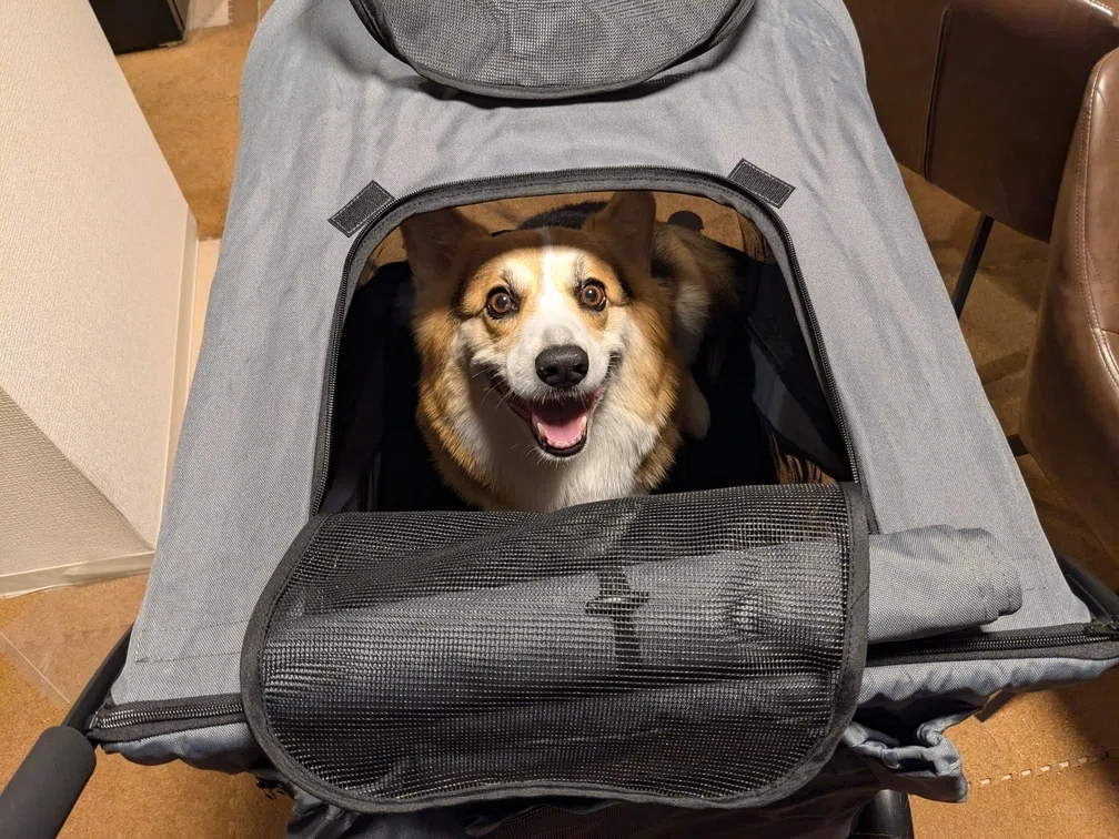 犬用品 タンスのゲン ペット専用カート 大型犬用 介護向き