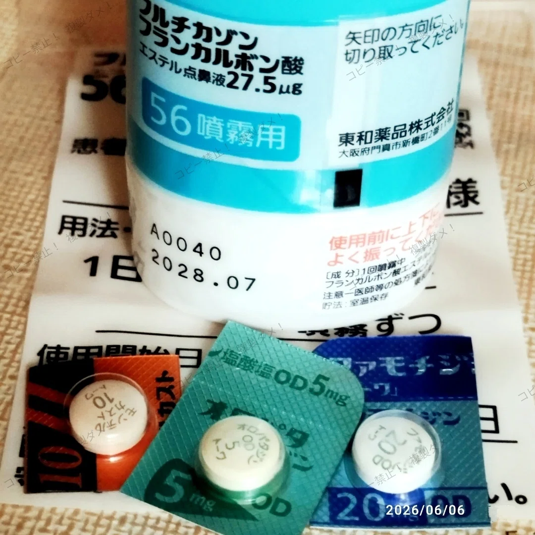 「ジェネリック！」ꉂ(*˃ᗜ˂*)