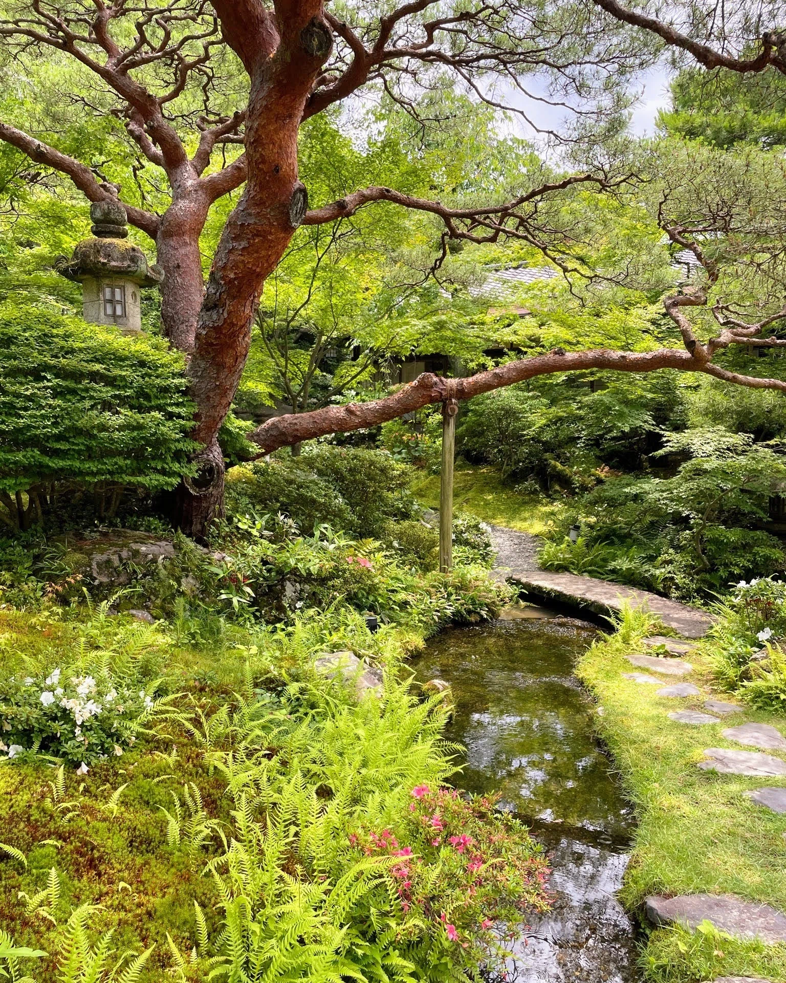 展覧会レポート】 春爛漫 春の茶の取りあわせ〈後期〉／野村美術館