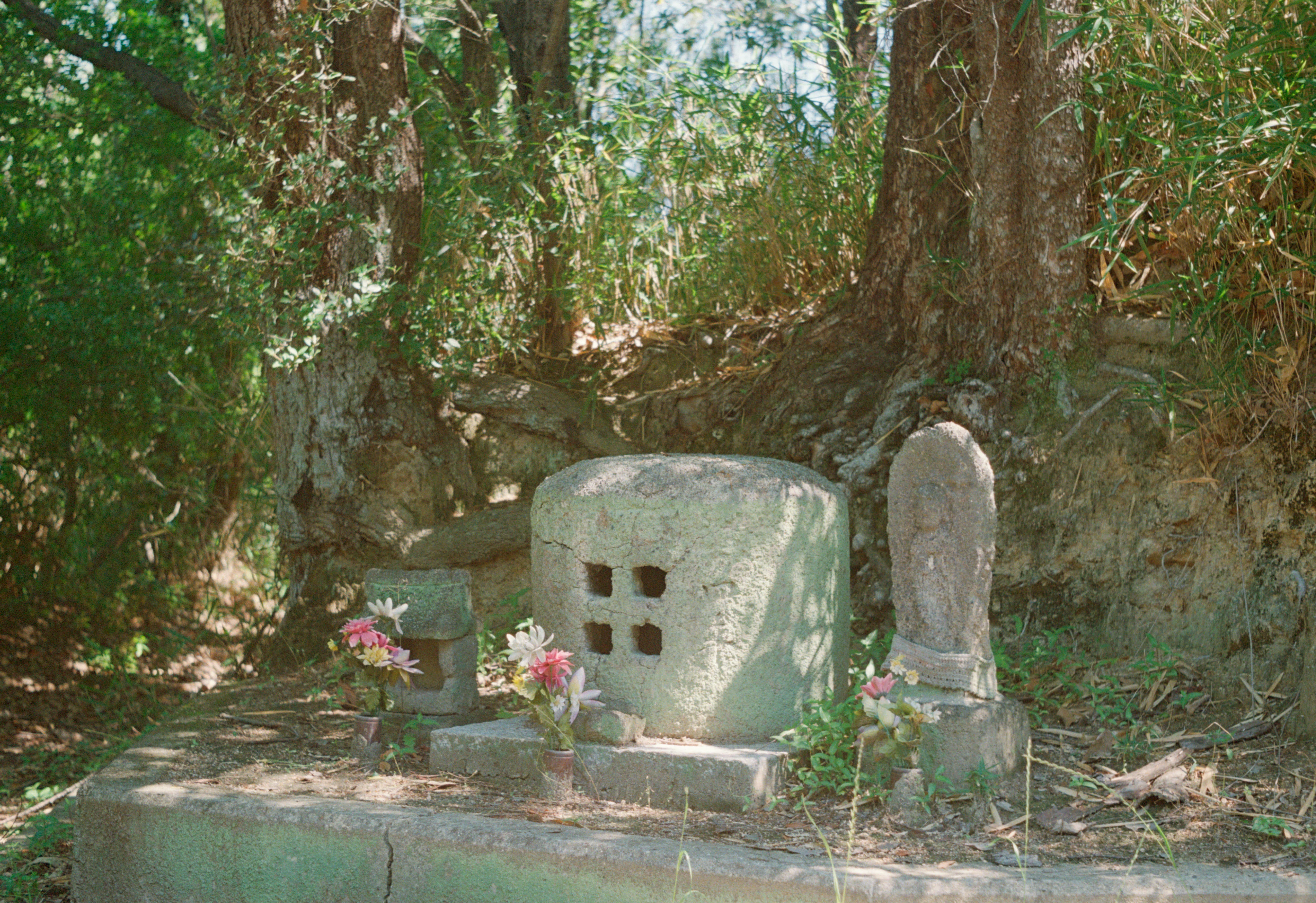 完全にフィルム写真しか無理かも｜ゆーやch