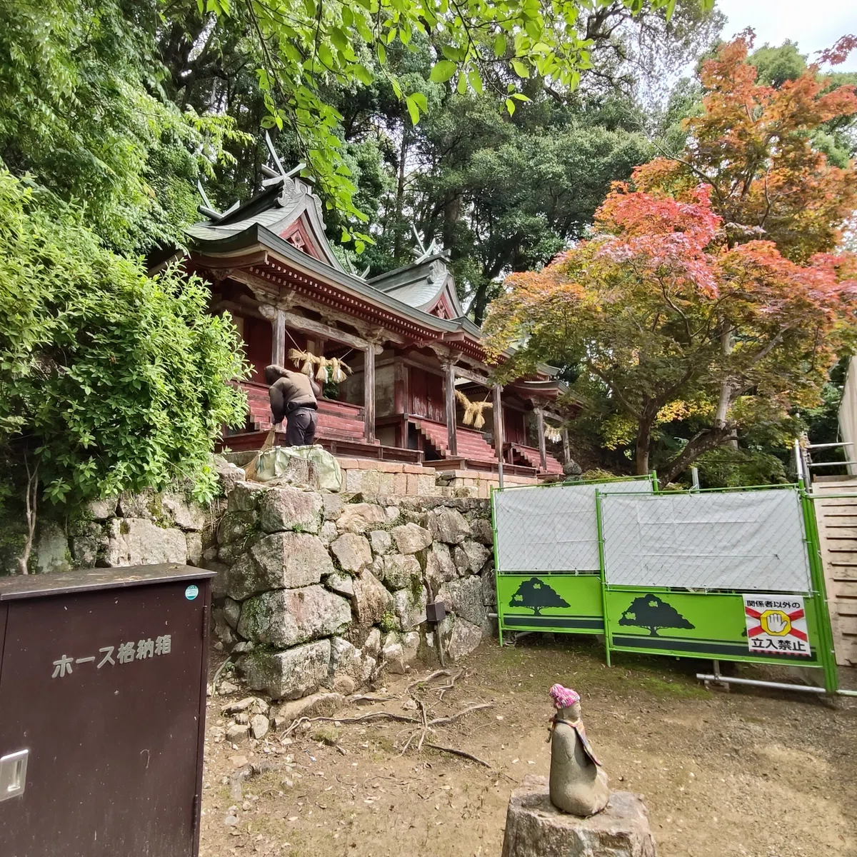 長谷寺で見つけた、回廊の外の紫陽花|としさん