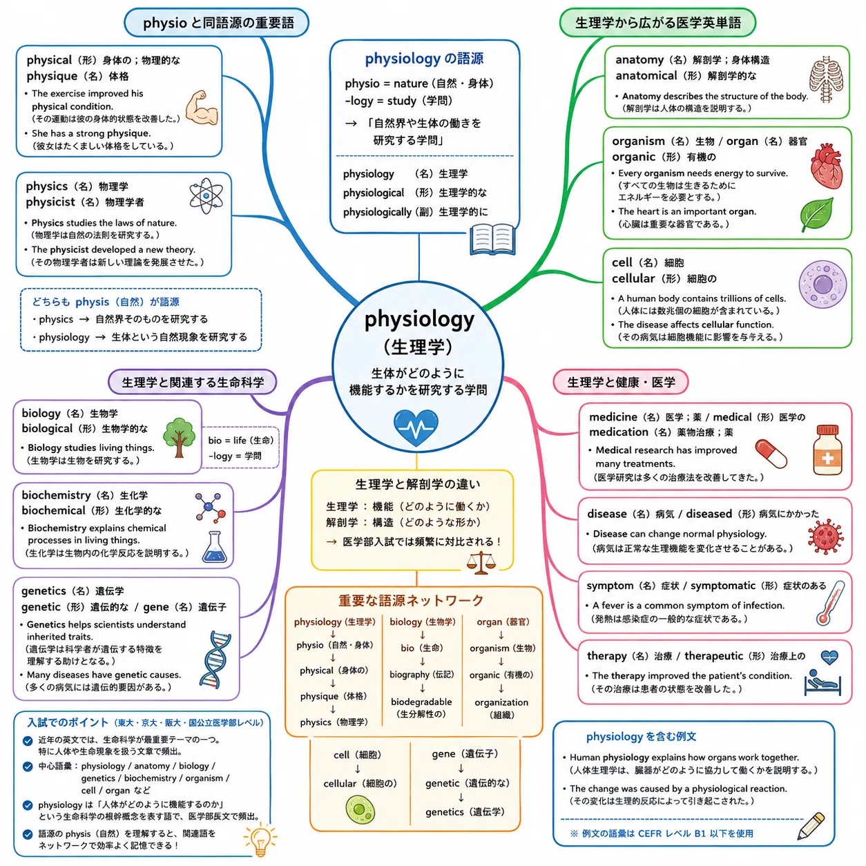 physiology はなぜ「生理学」なのかーphysiology（生理学）から広がる 