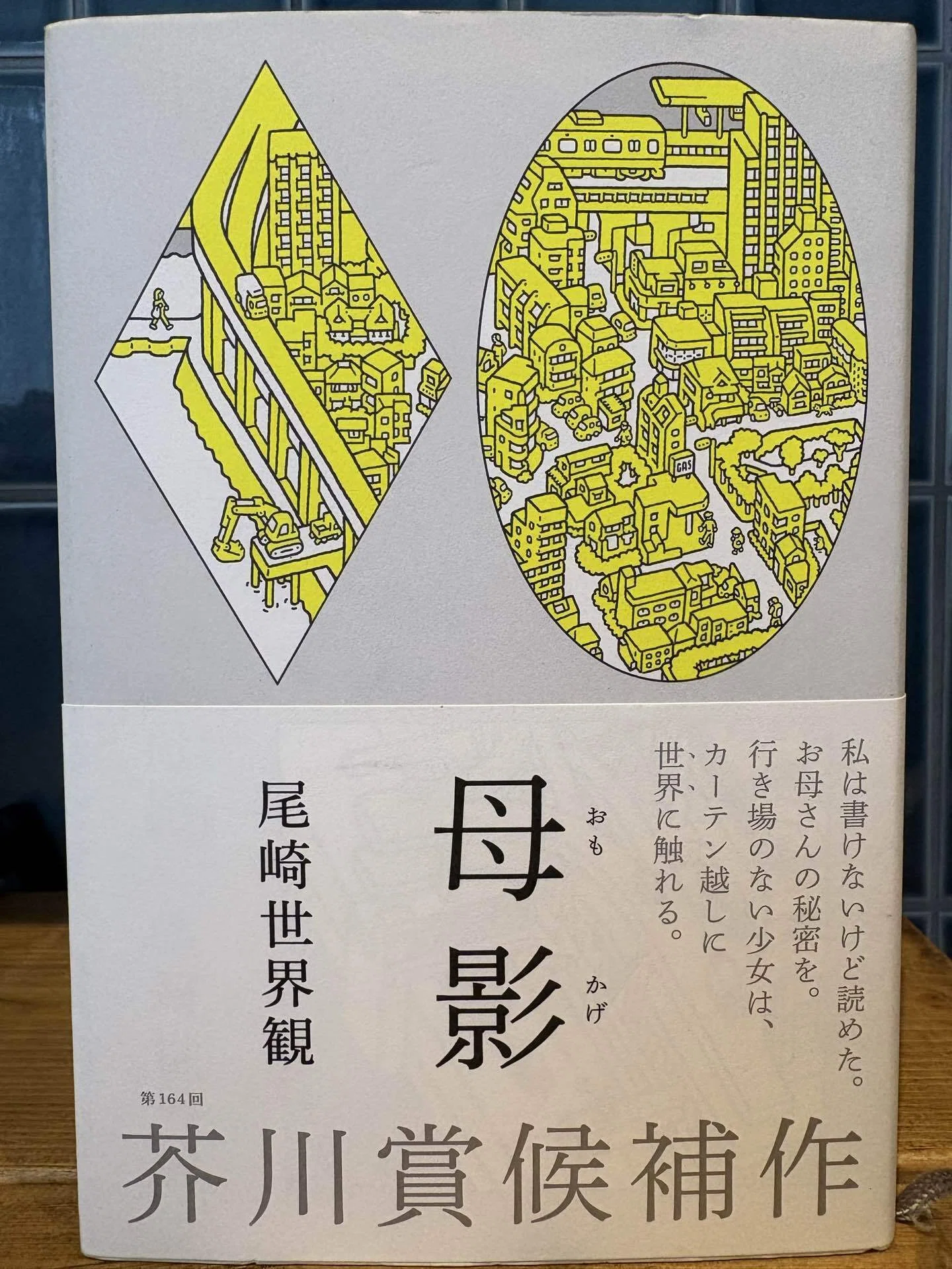 音楽家が書いた名著8選【第5回】『母影』尾崎世界観｜toramomo