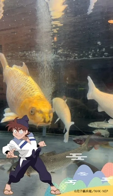 画像