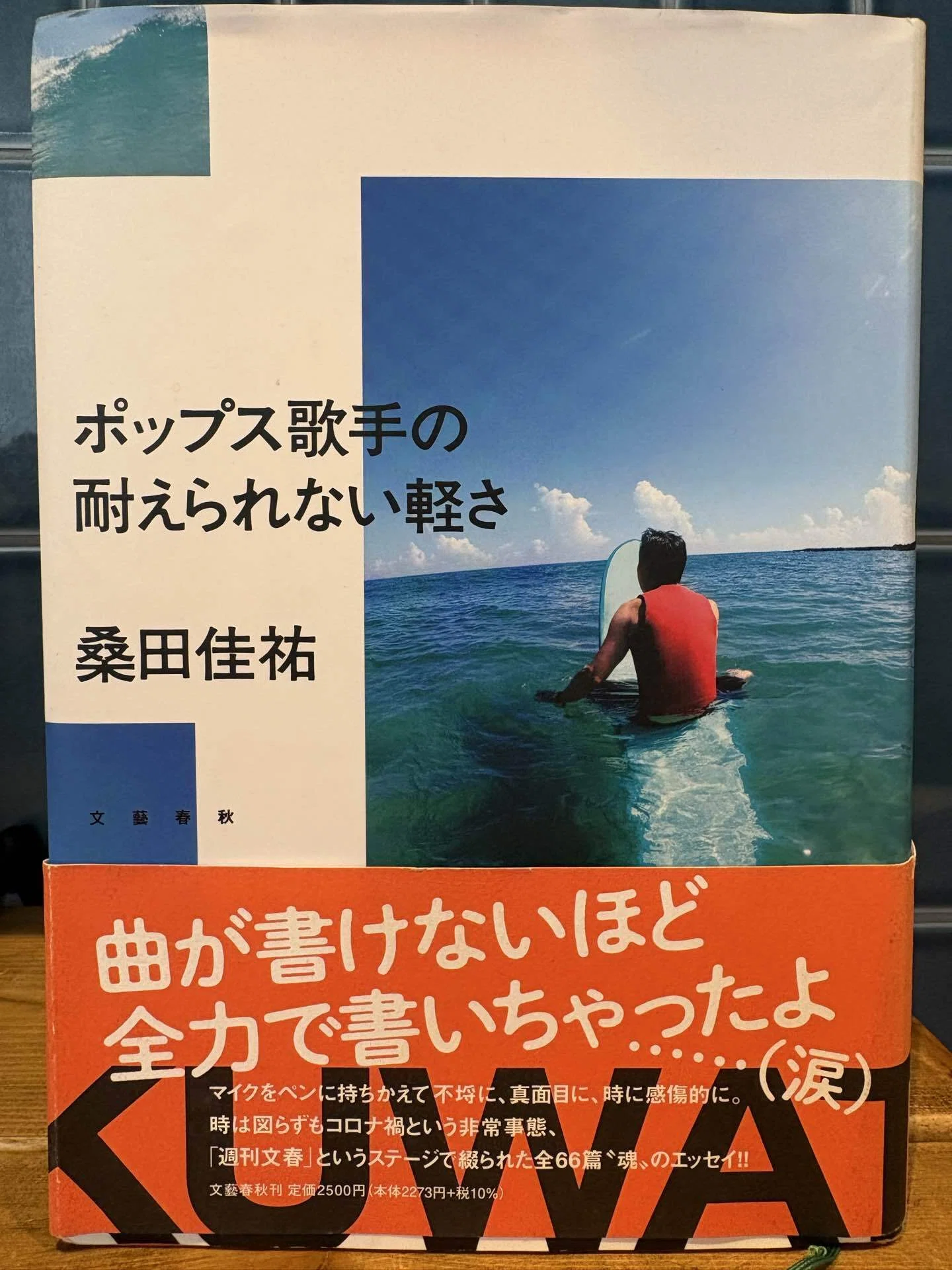 音楽家が書いた名著8選【最終回】『ポップス歌手の耐えられない軽さ