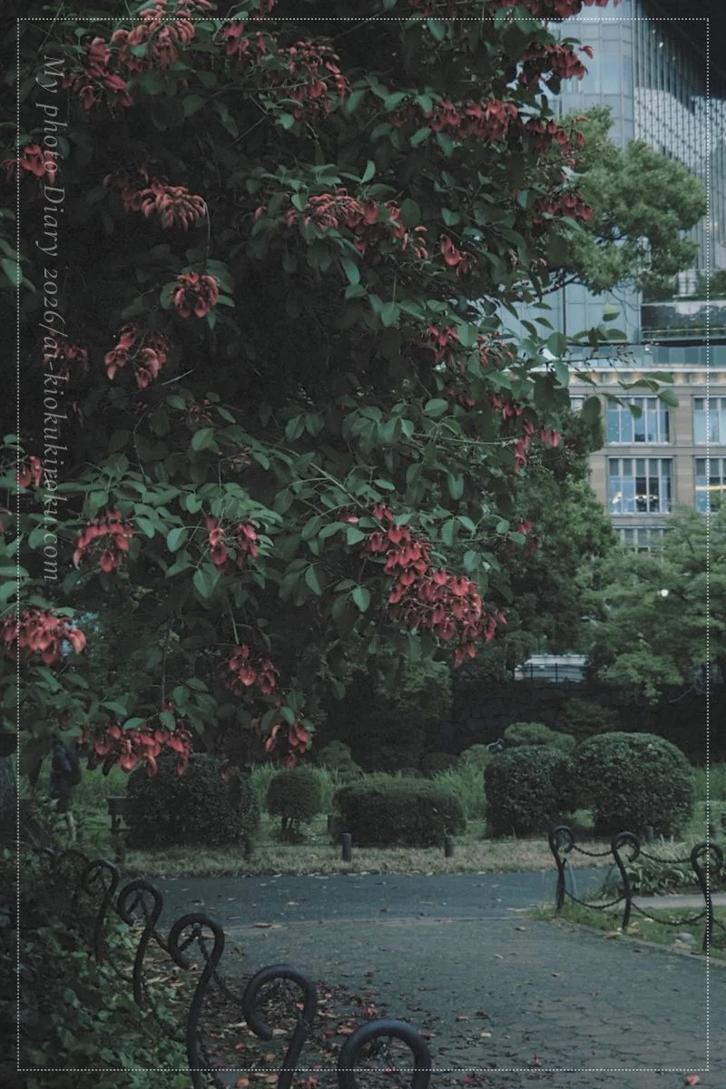 日比谷公園｜ユリや紫陽花、季節の花々が彩る初夏の風景｜ai