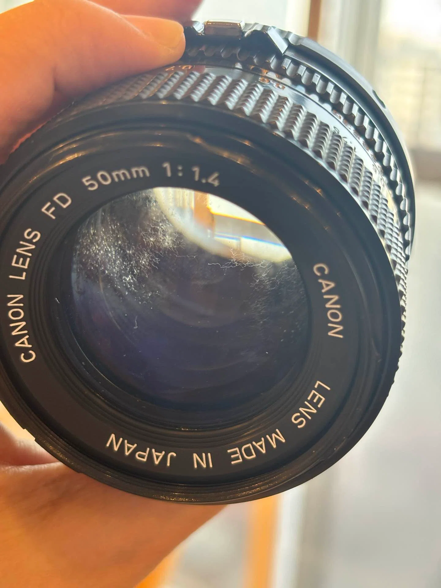 オールドレンズ、カビ取り前後でどうなった？Canon New FD50mm F1.4