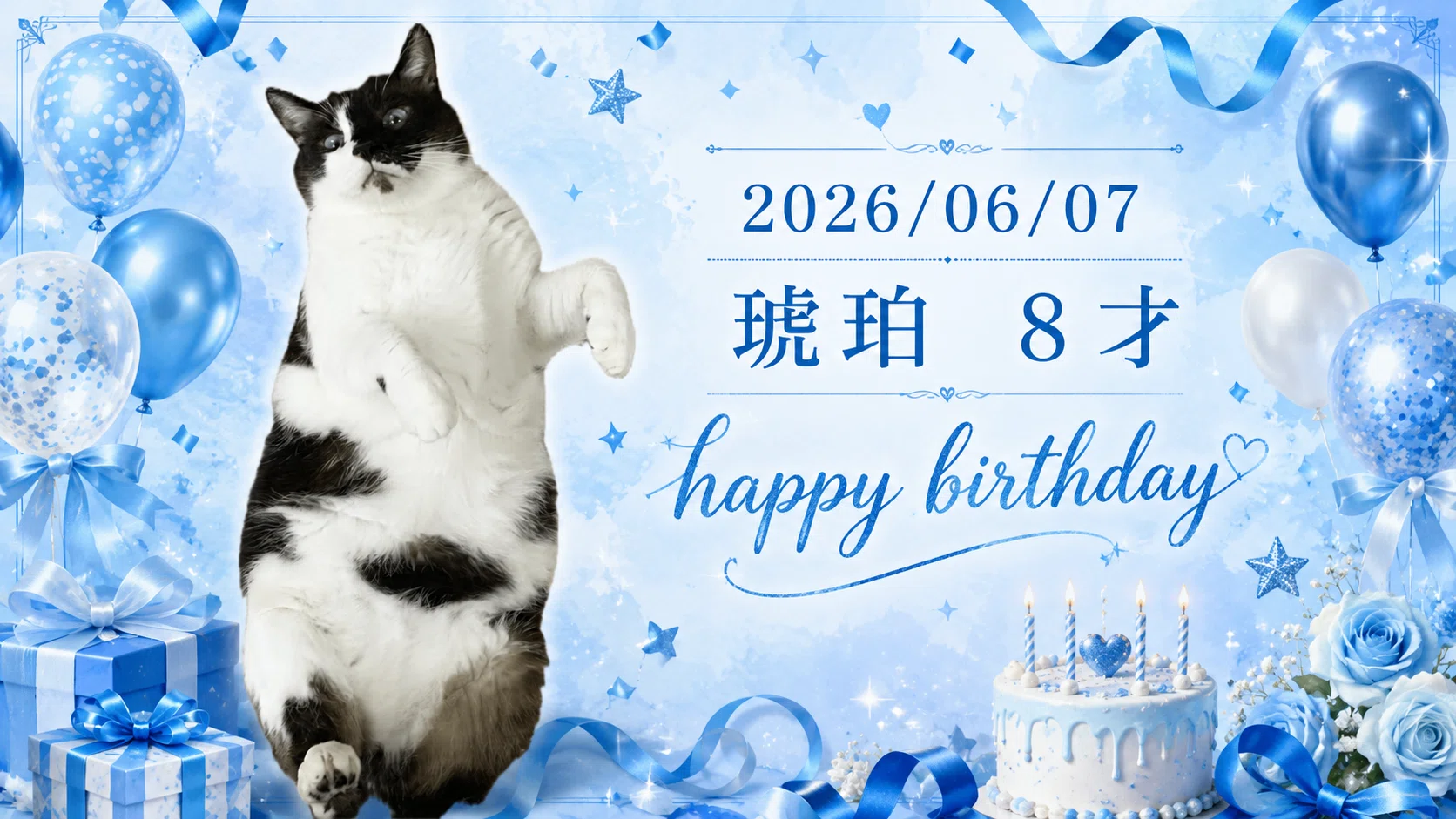 猫の琥珀・8才記念☆ぬんちゃん記事特集｜琥珀ベイビー