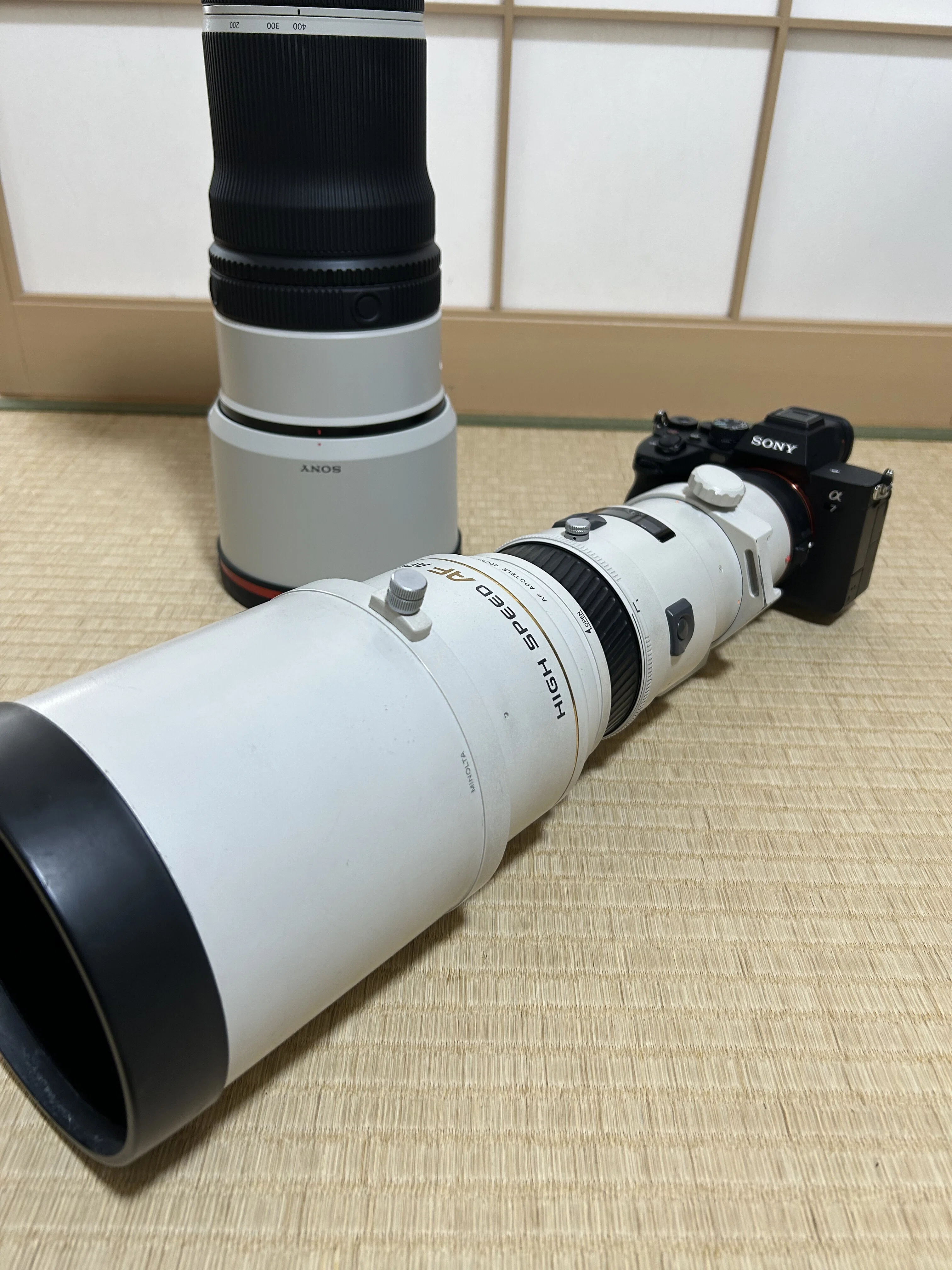 FE 100-400mm F4.5 GM OSSで野鳥撮影 飛翔編｜TOLIMAN Hondα